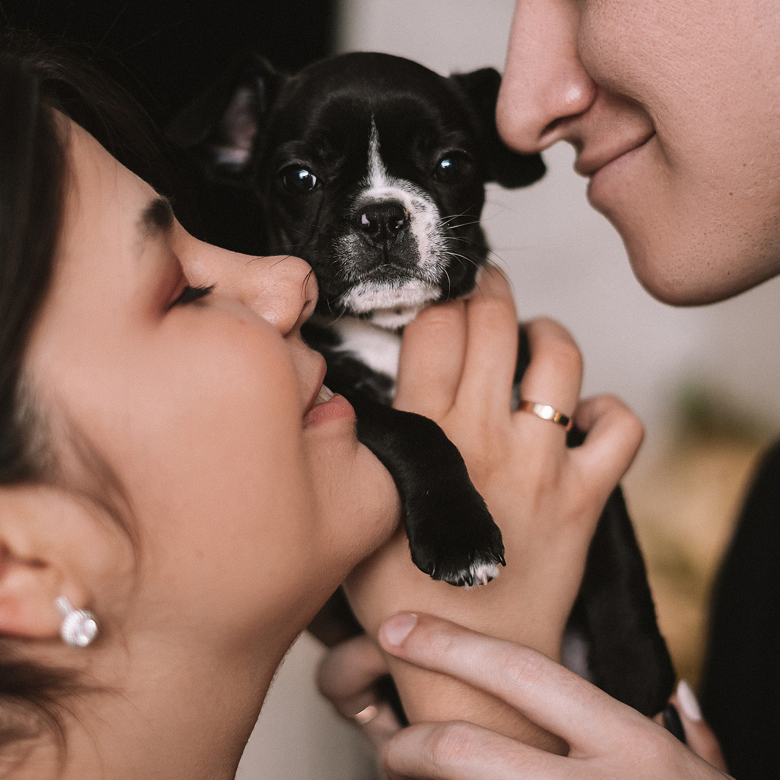 Катя + Саша + Булка