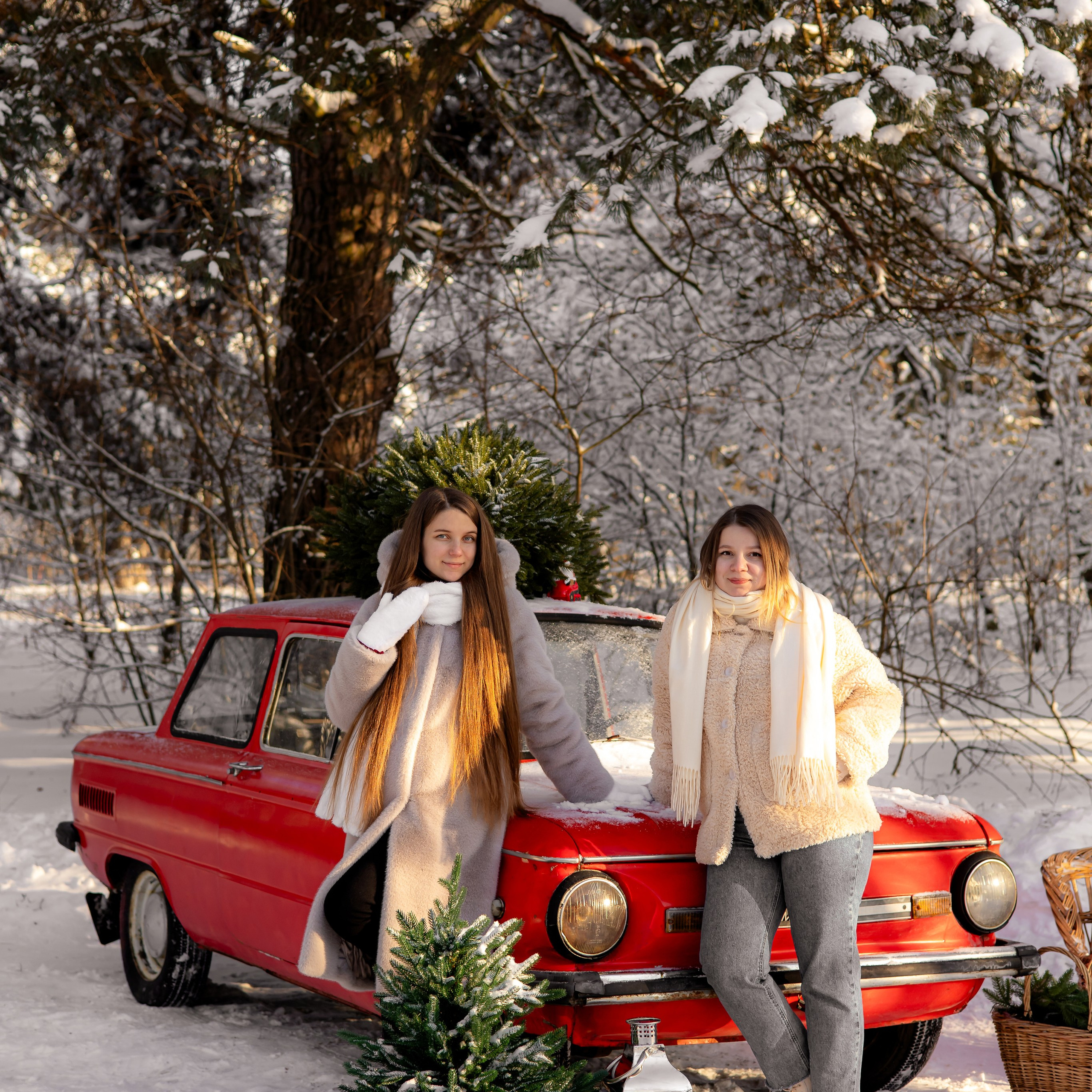 Фотодень «Авто в зимнем лесу»