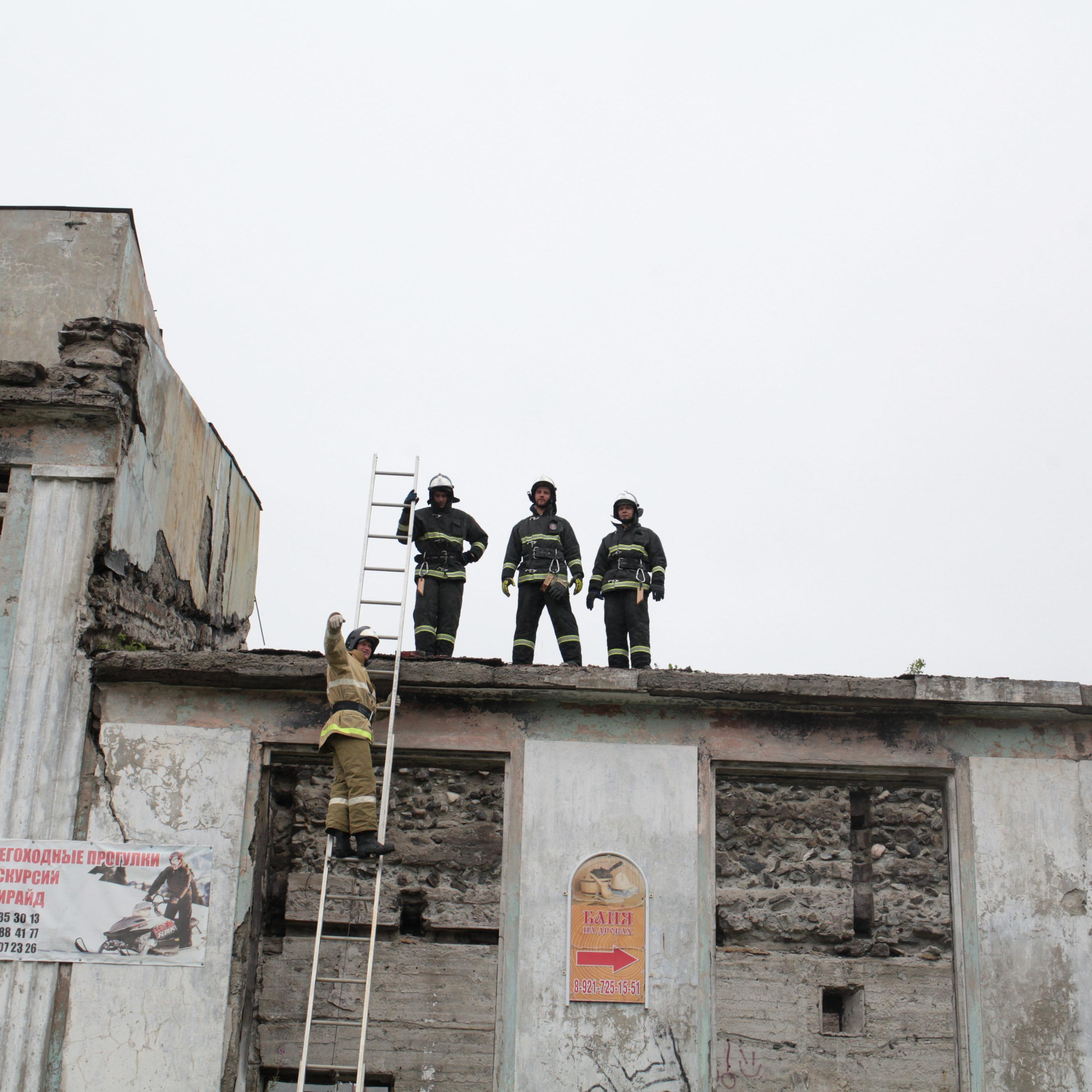 Отзывы. Фотограф Елена Пожарова. Мурманская область, Апатиты, Кировск, Хибины