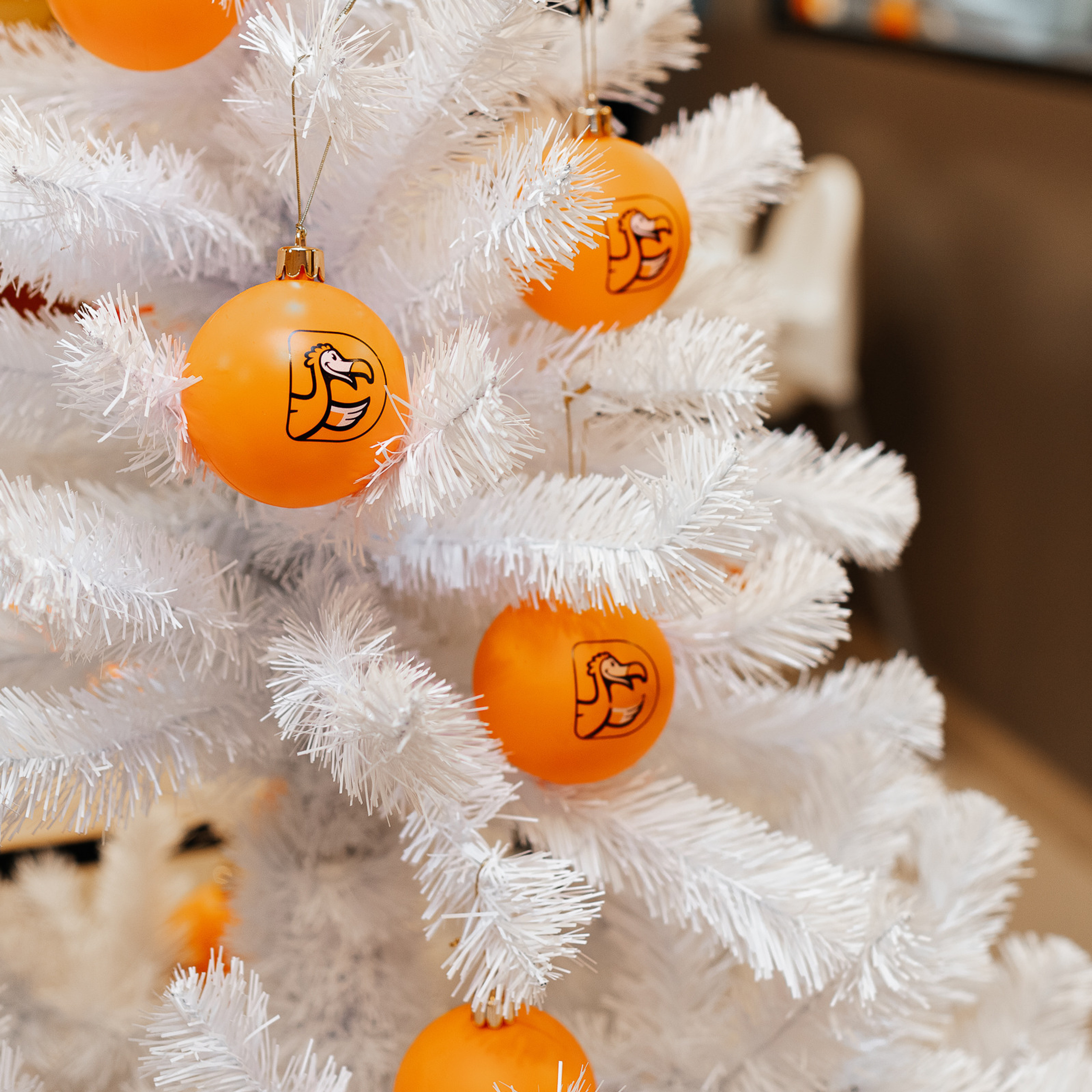 Отзывы. Фотограф Елена Пожарова. Мурманская область, Апатиты, Кировск, Хибины