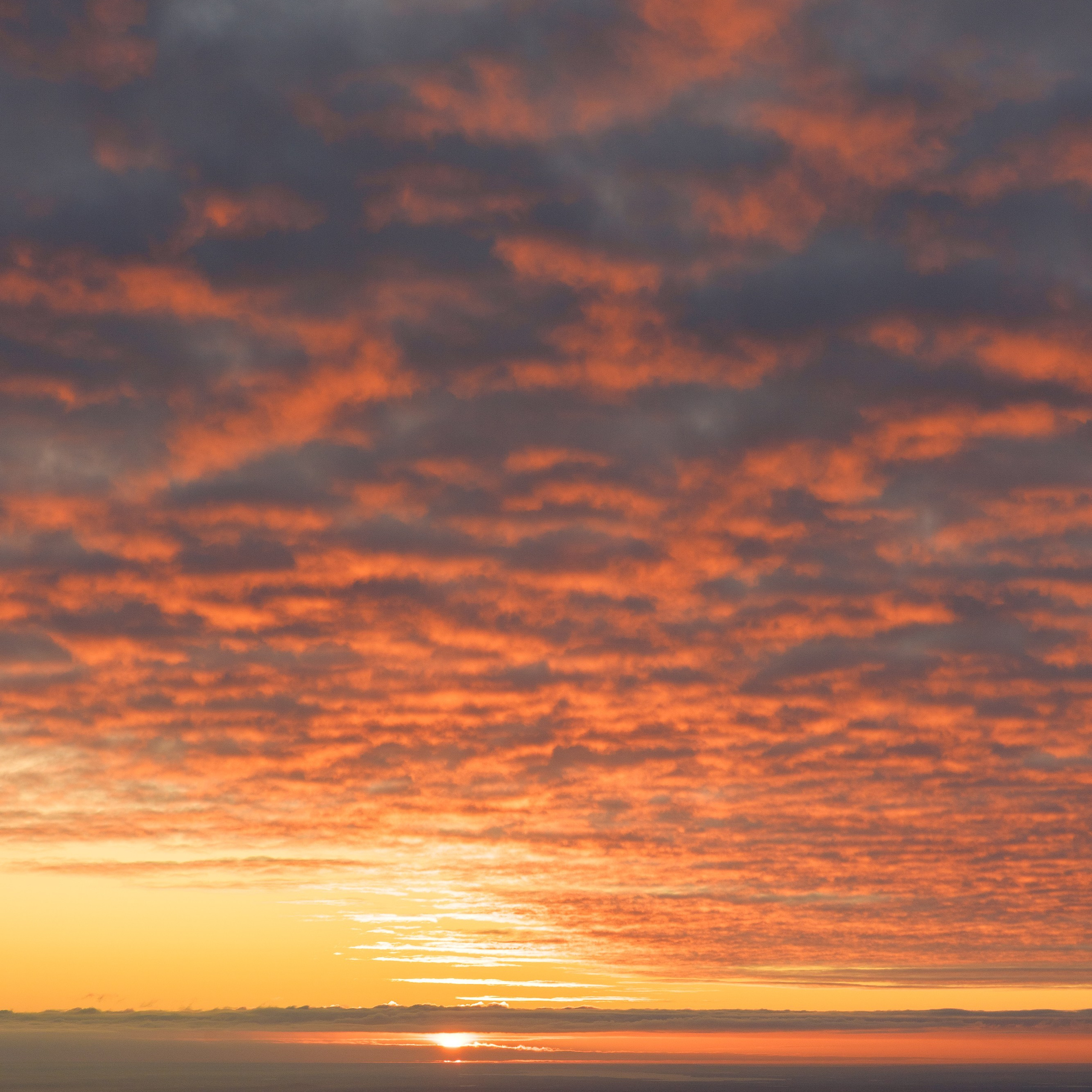 Отзывы. Фотограф Елена Пожарова. Мурманская область, Апатиты, Кировск, Хибины