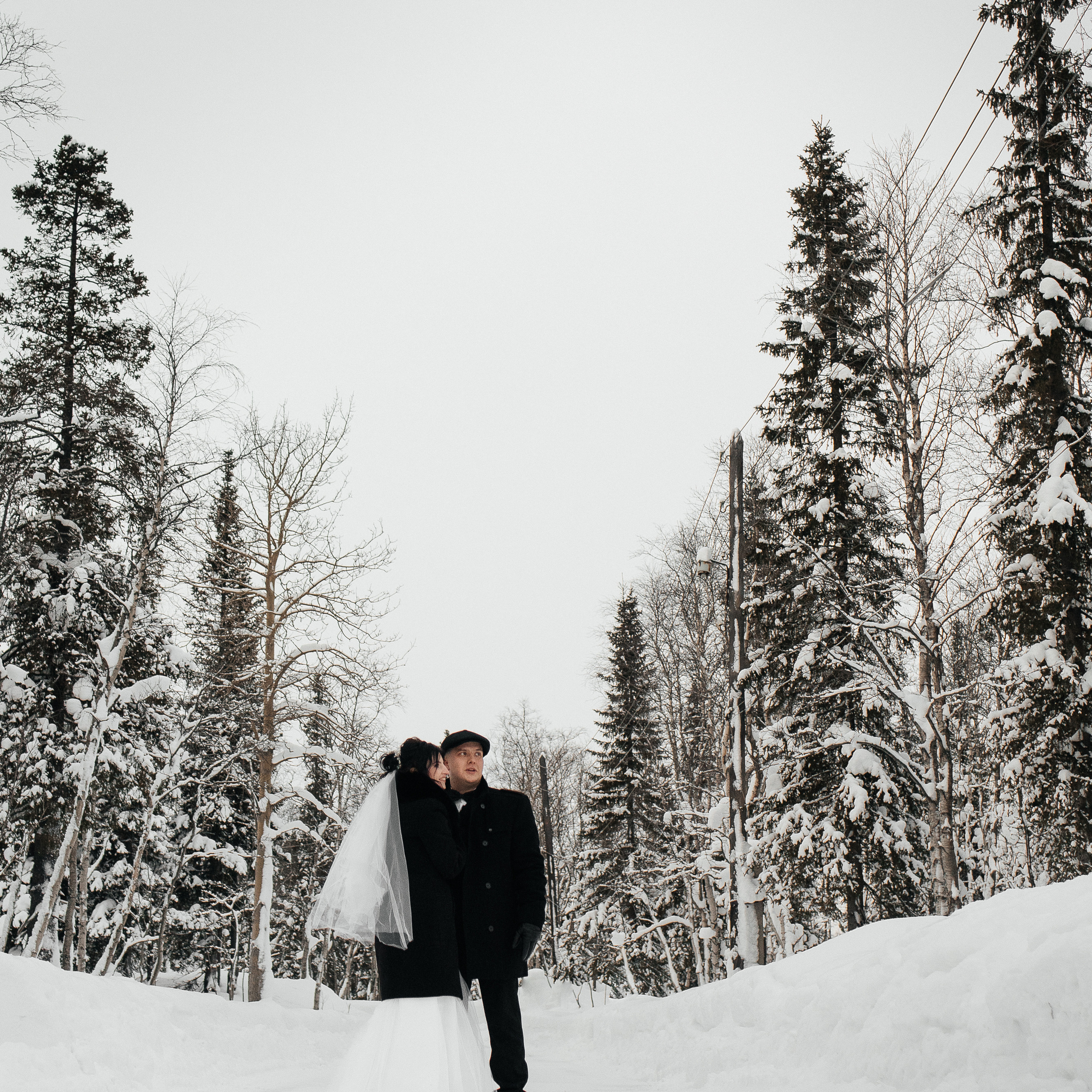 Отзывы. Фотограф Елена Пожарова. Мурманская область, Апатиты, Кировск, Хибины
