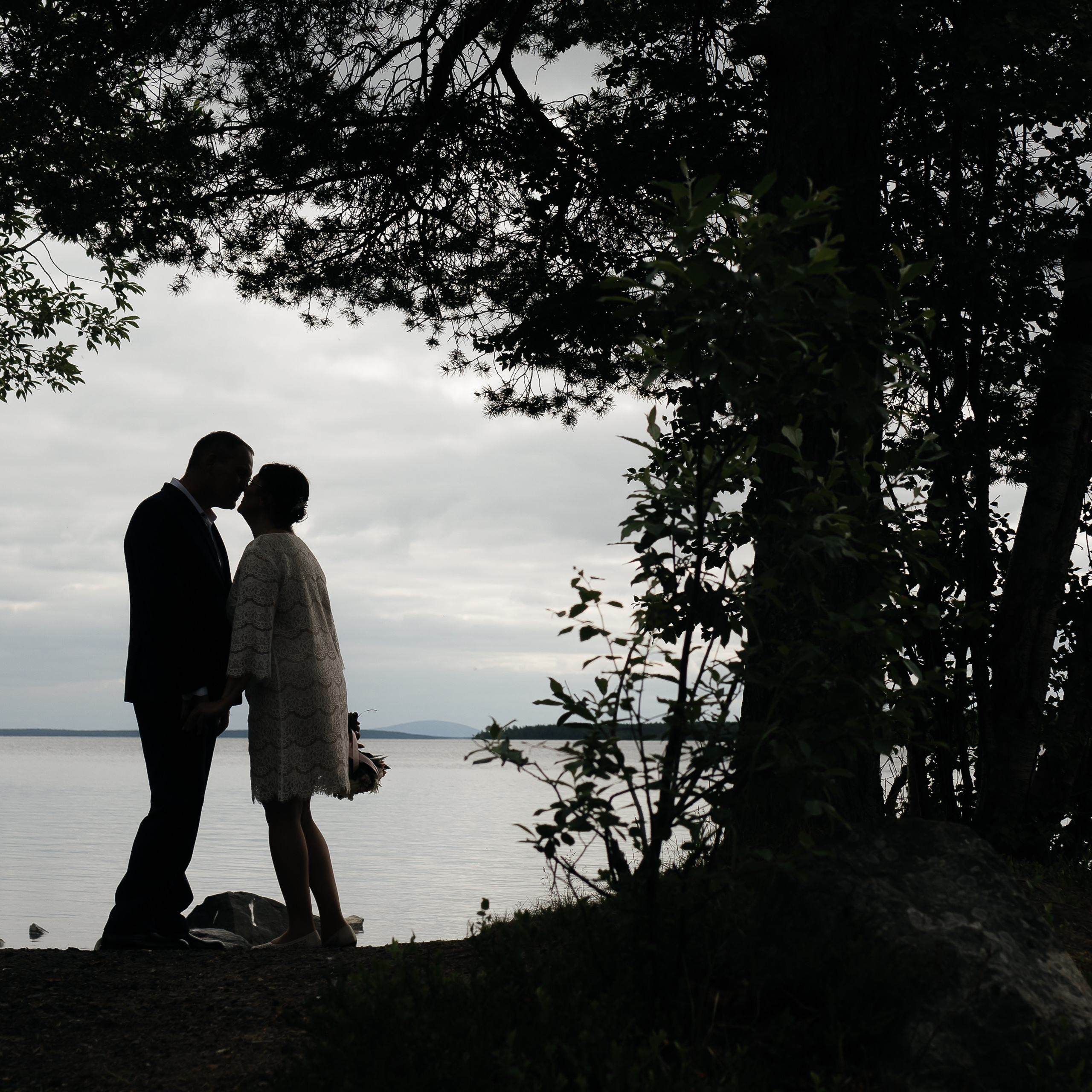 Отзывы. Фотограф Елена Пожарова. Мурманская область, Апатиты, Кировск, Хибины