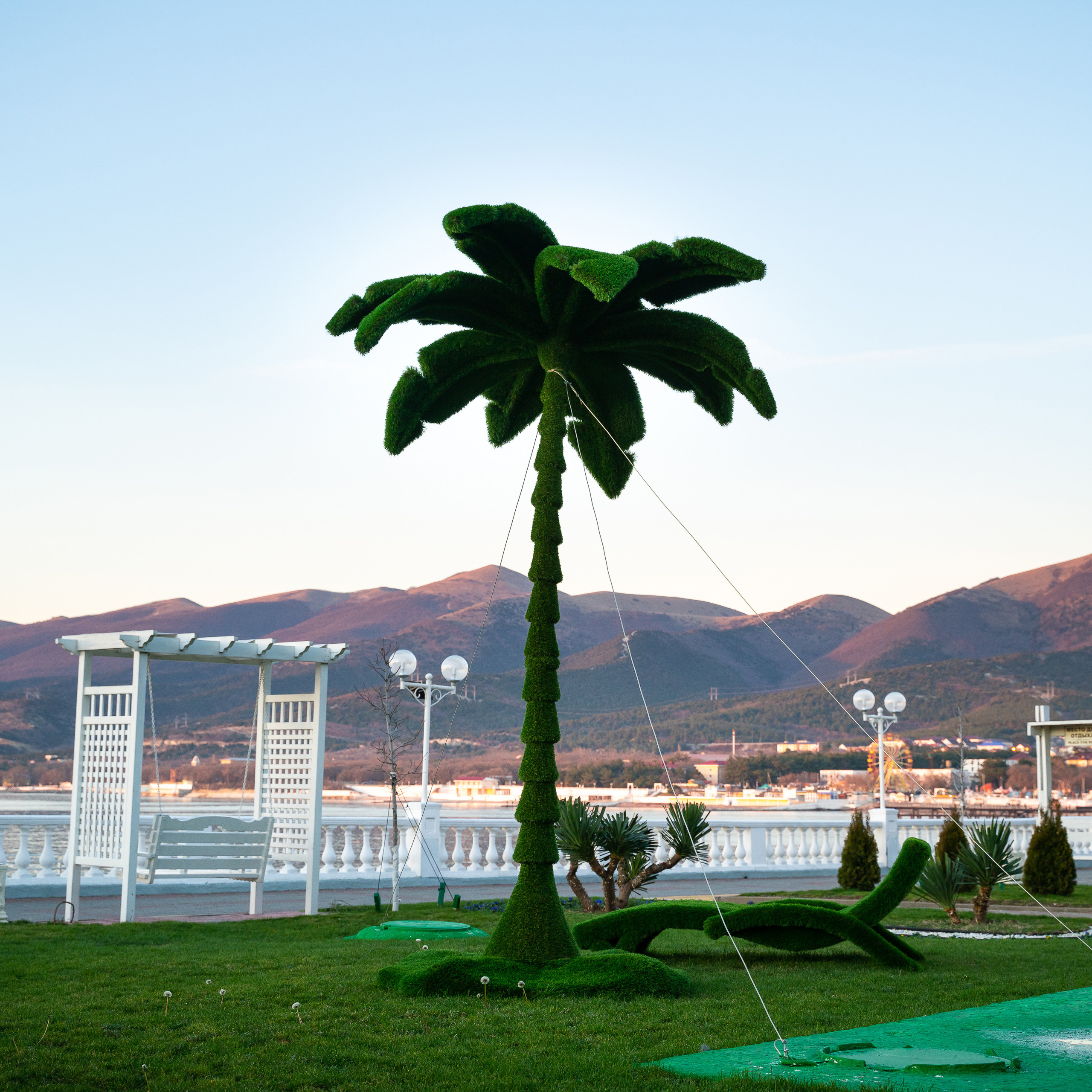 пальма на набережной в кабардинке