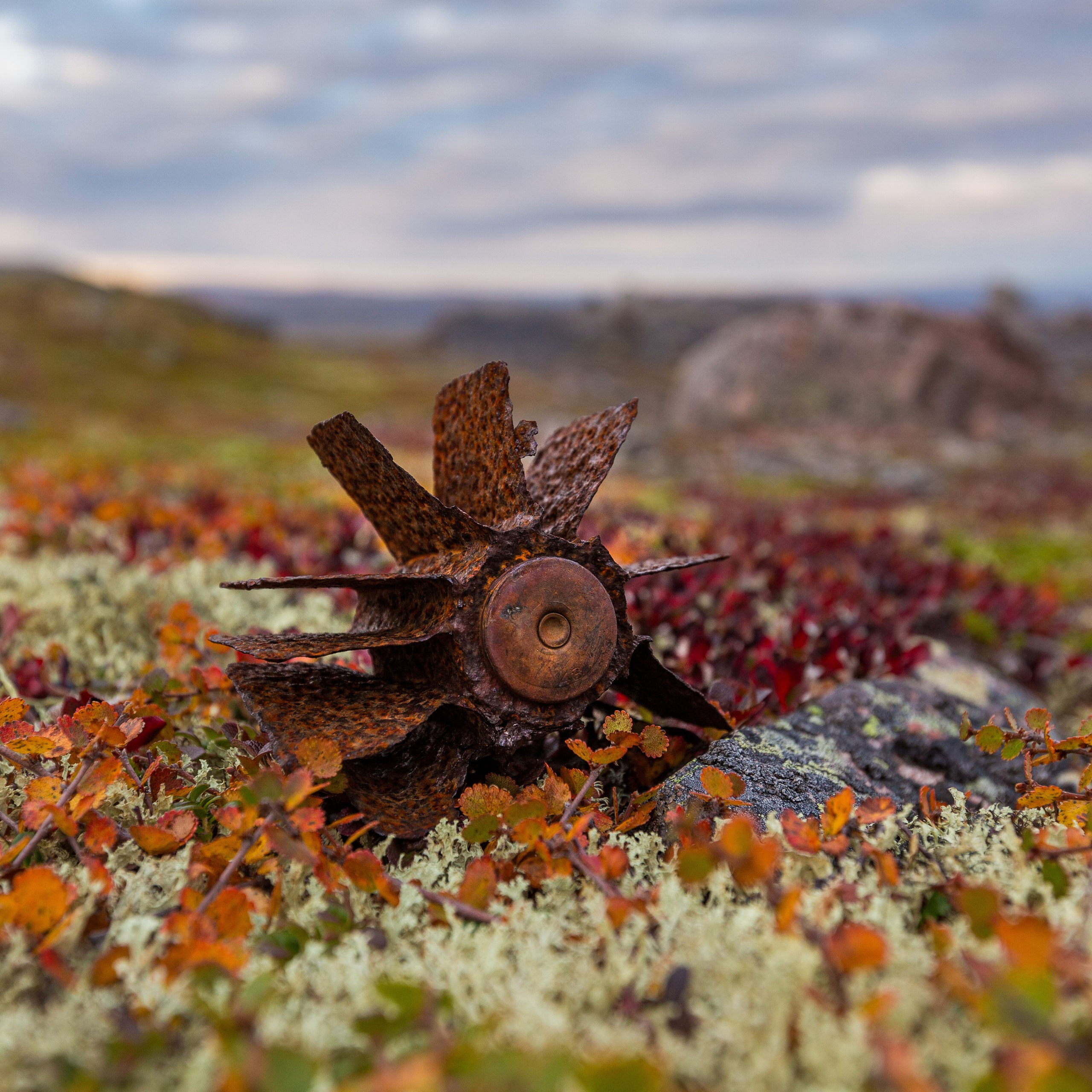 РЫБАЧИЙ 2025. Фототуры и обучение пейзажной фотографии
