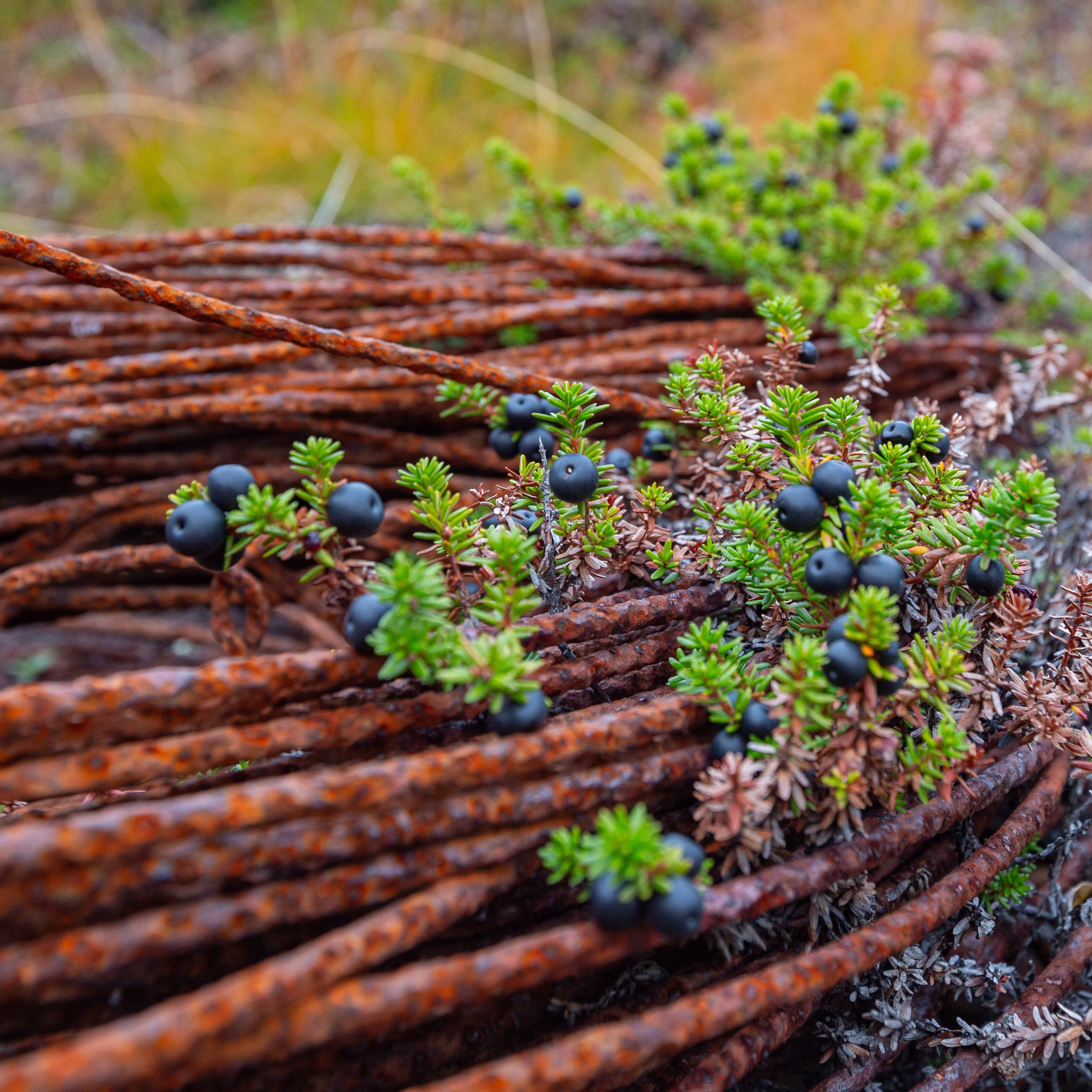 РЫБАЧИЙ 2025. Фототуры и обучение пейзажной фотографии