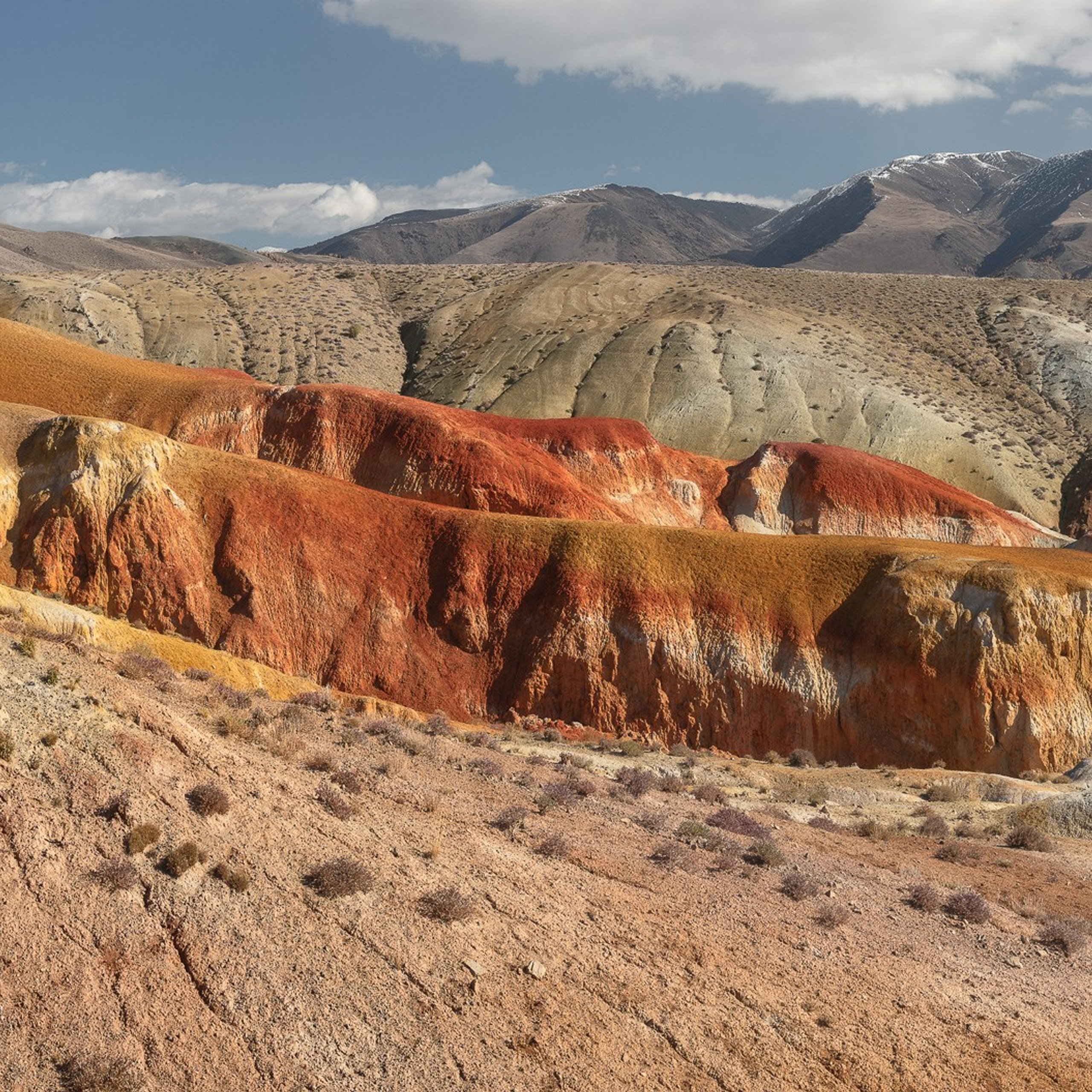 АЛТАЙ 2026. Фототуры и обучение пейзажной фотографии