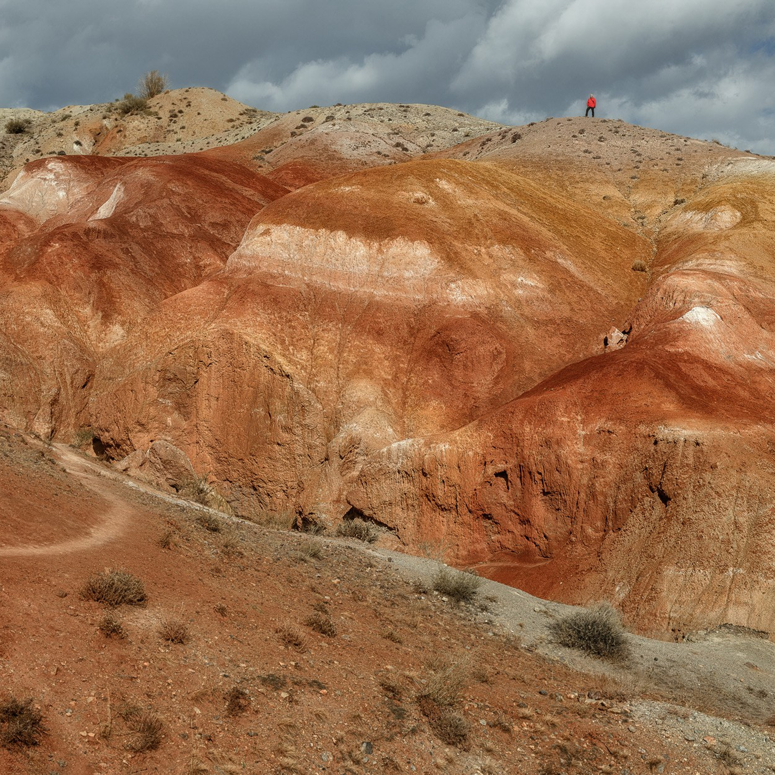 АЛТАЙ 2026. Фототуры и обучение пейзажной фотографии