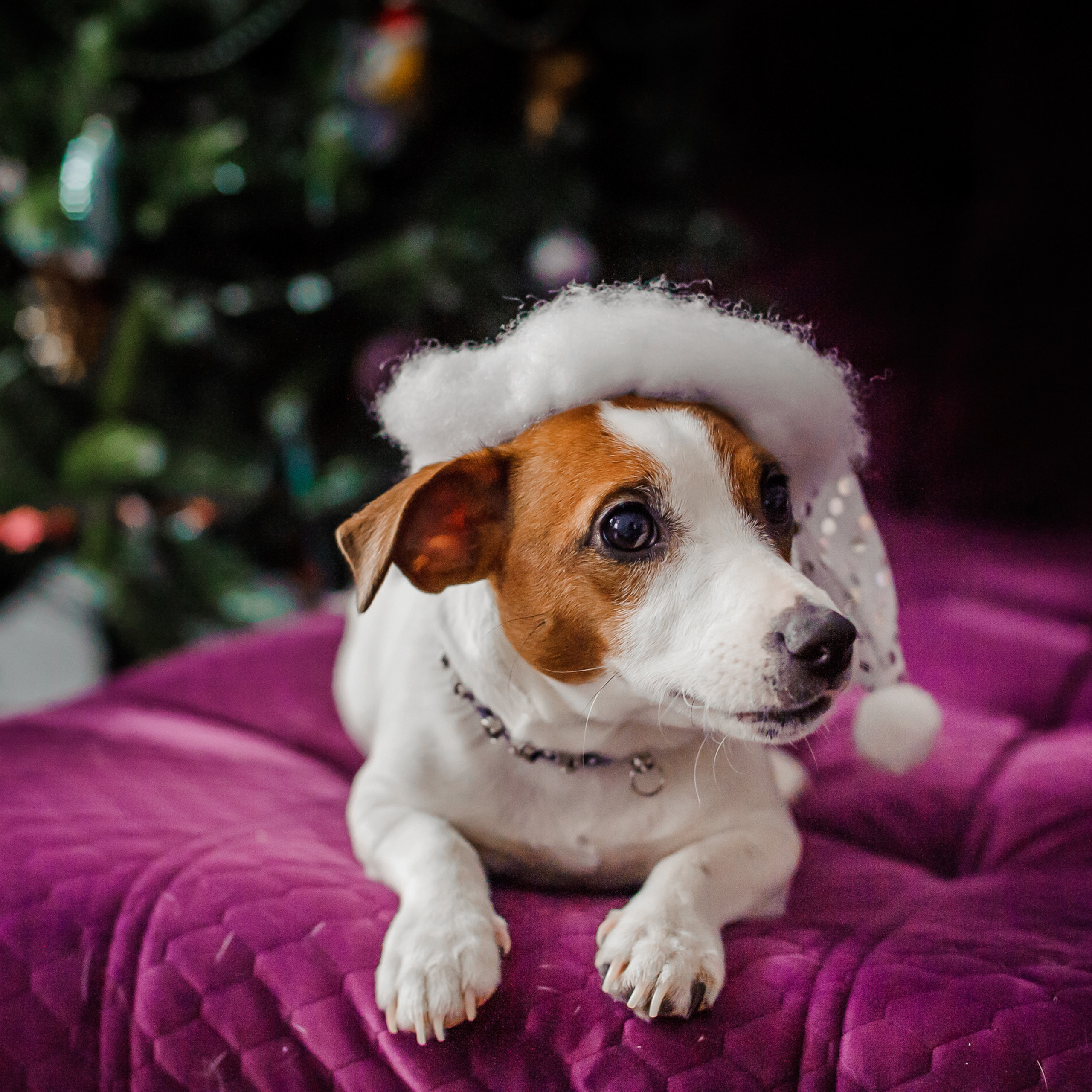 Отзывы о фотографе Вале Лялиной. Фотограф новорождённых в Рязани, фотосъемка выписки из роддома, крещен