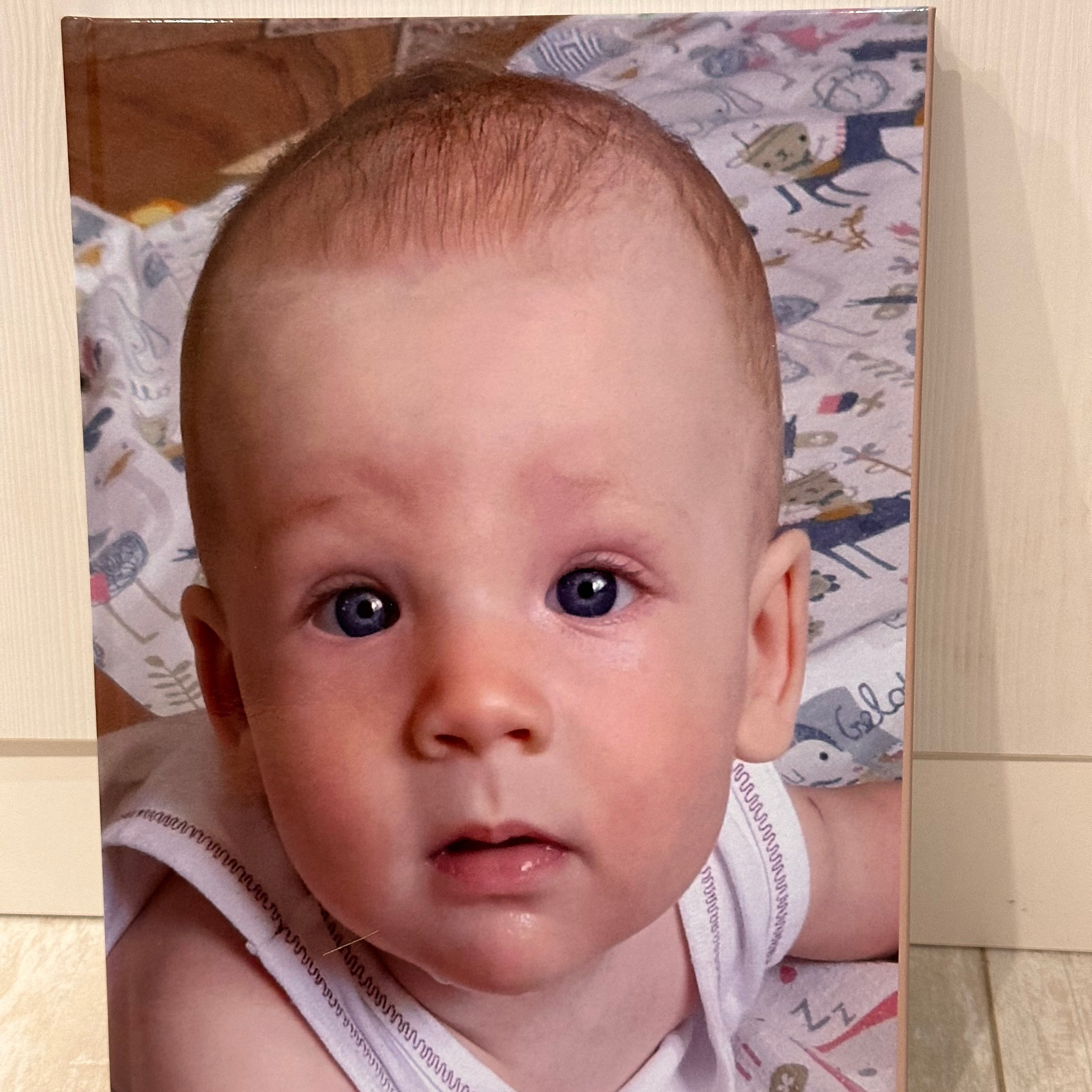 Семейная книга 21*30