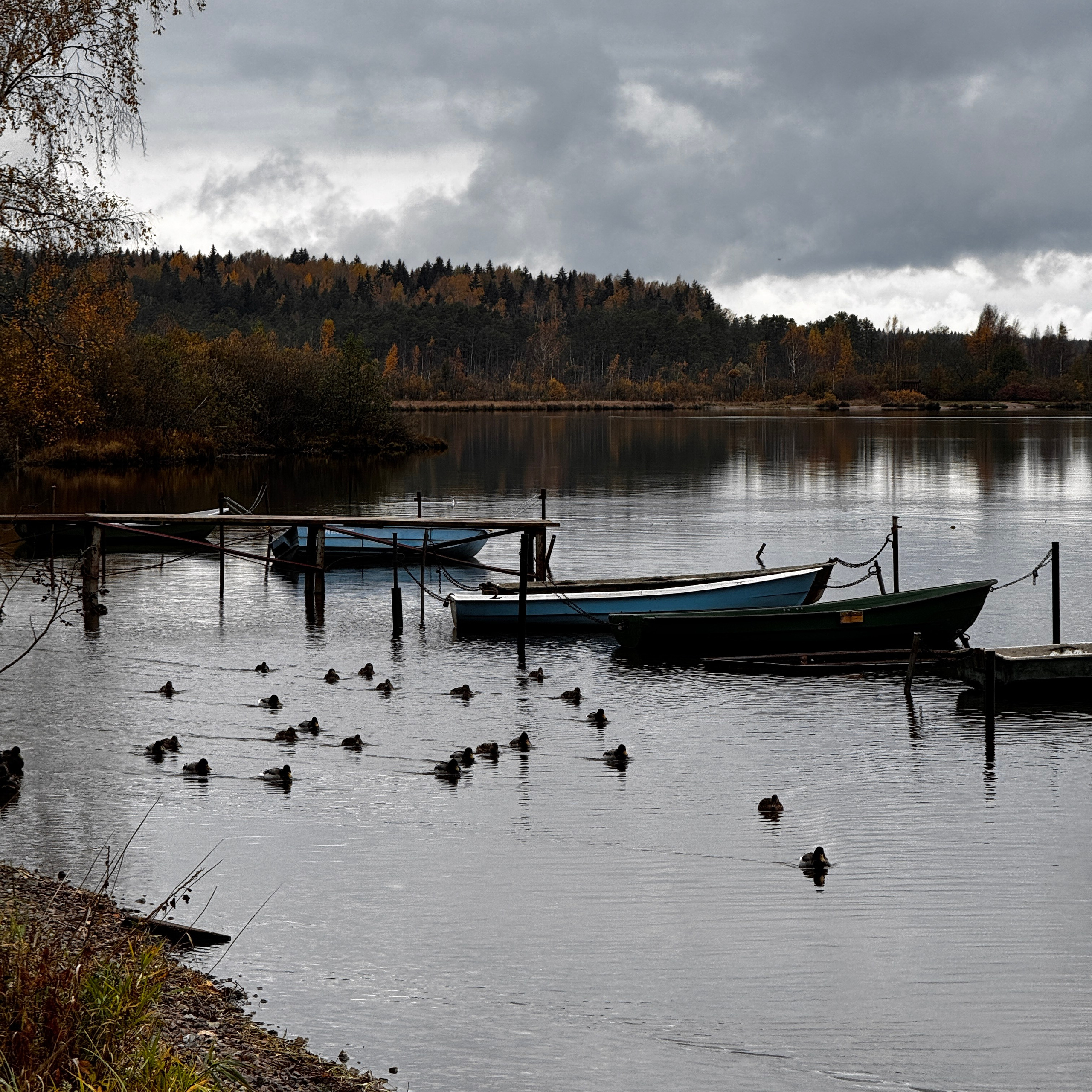 Мобилография. Коммерческий Фотограф Виктор Фоменых