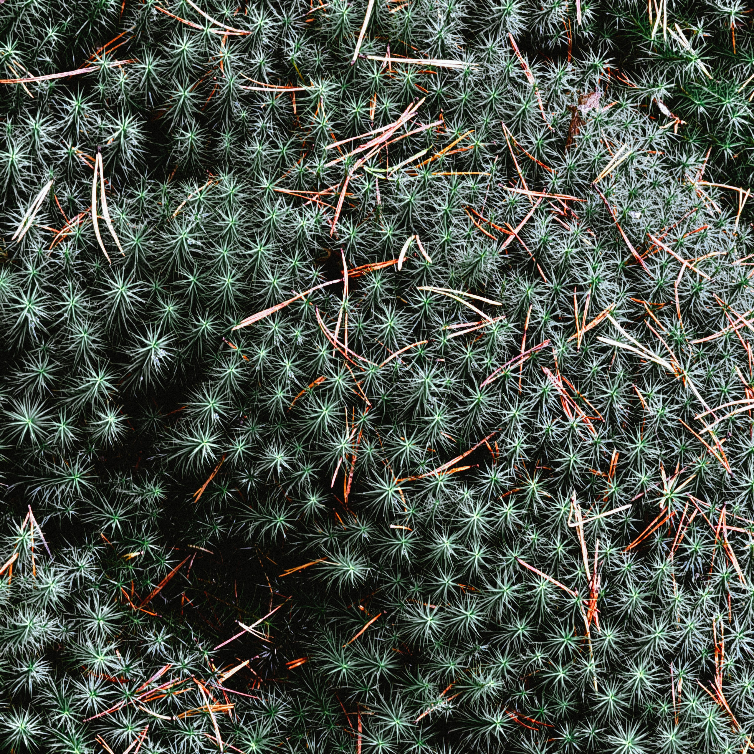 Мобилография. Коммерческий Фотограф Виктор Фоменых