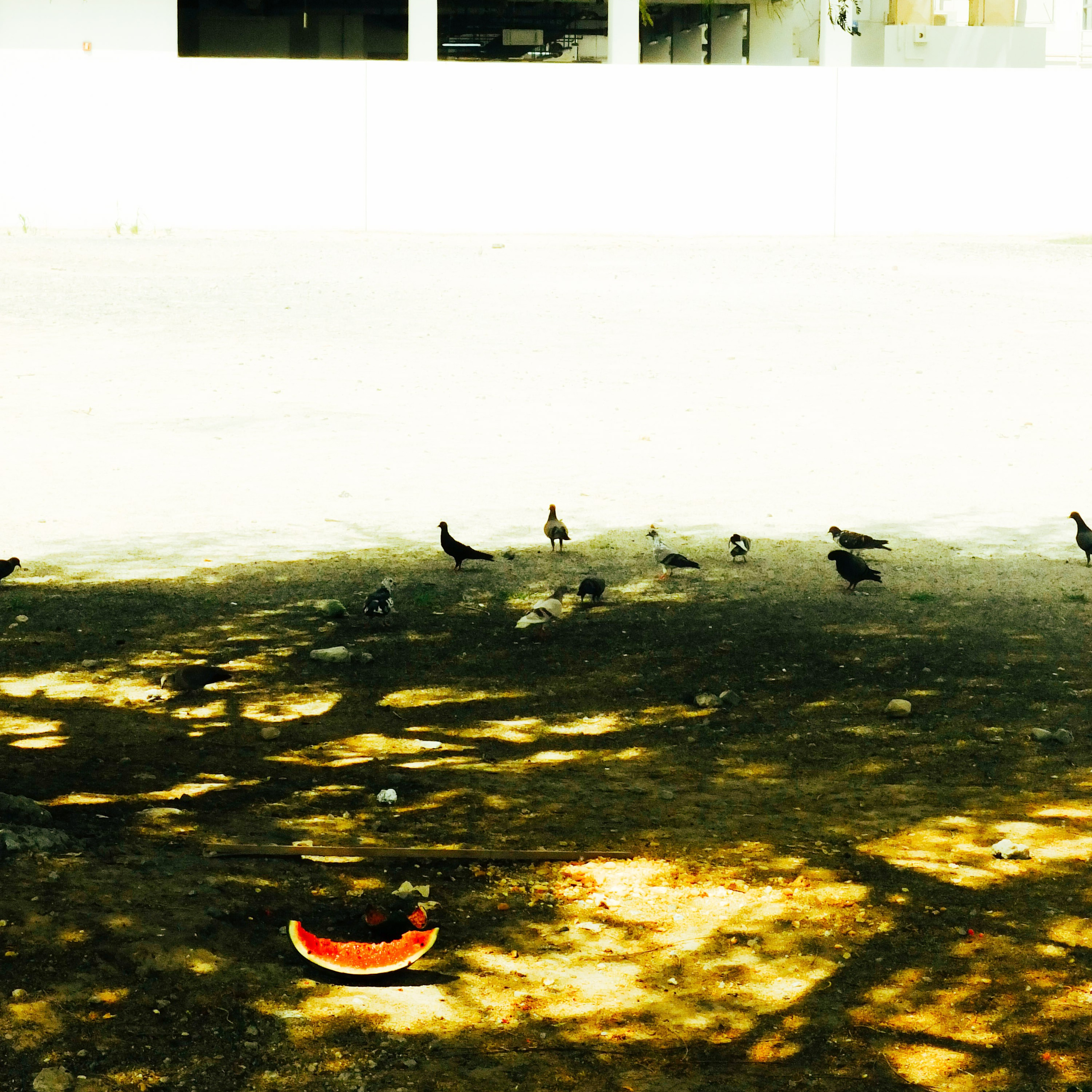 Dubai \ may 2024 \ DIGITAL. Коммерческий Фотограф Виктор Фоменых