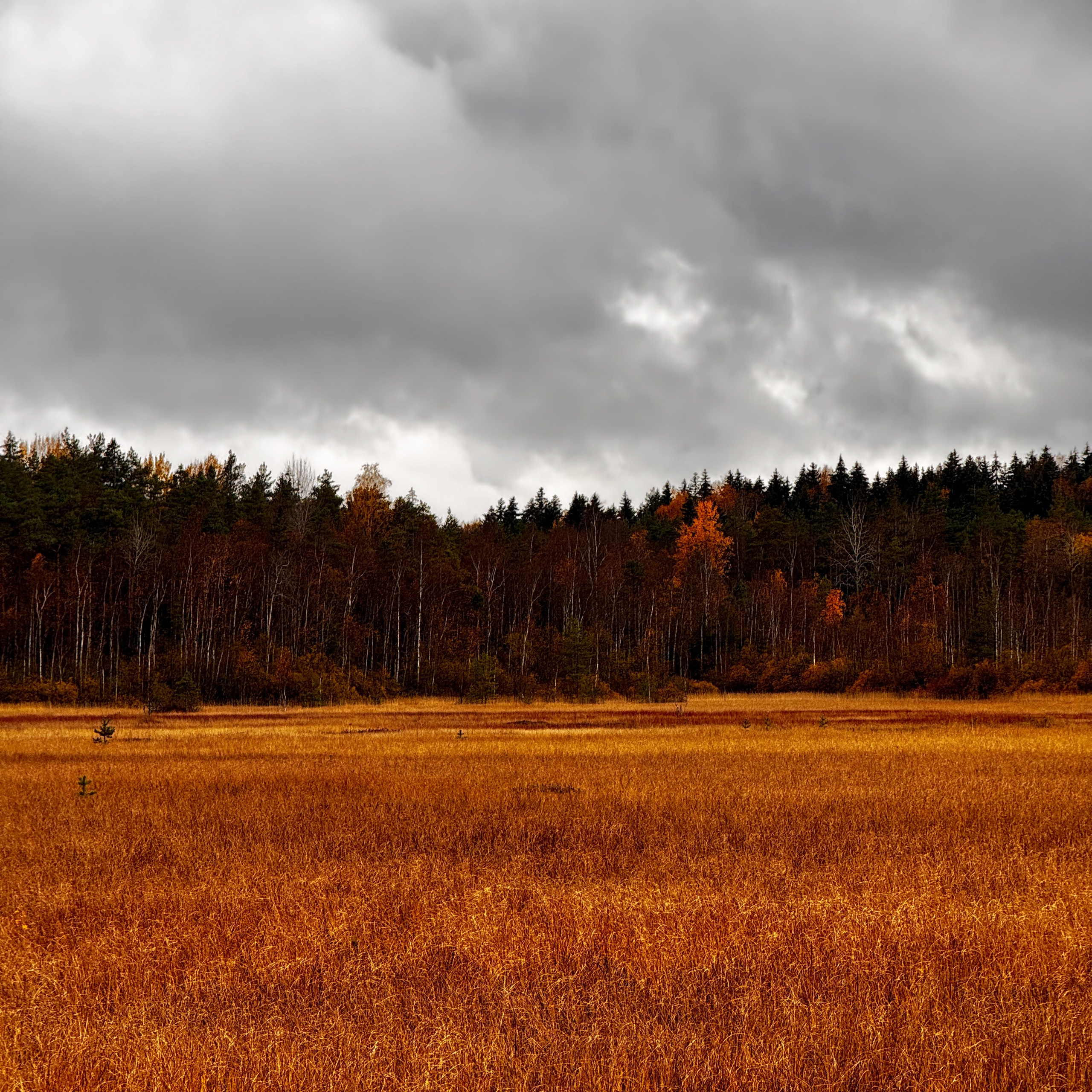 Мобилография. Коммерческий Фотограф Виктор Фоменых