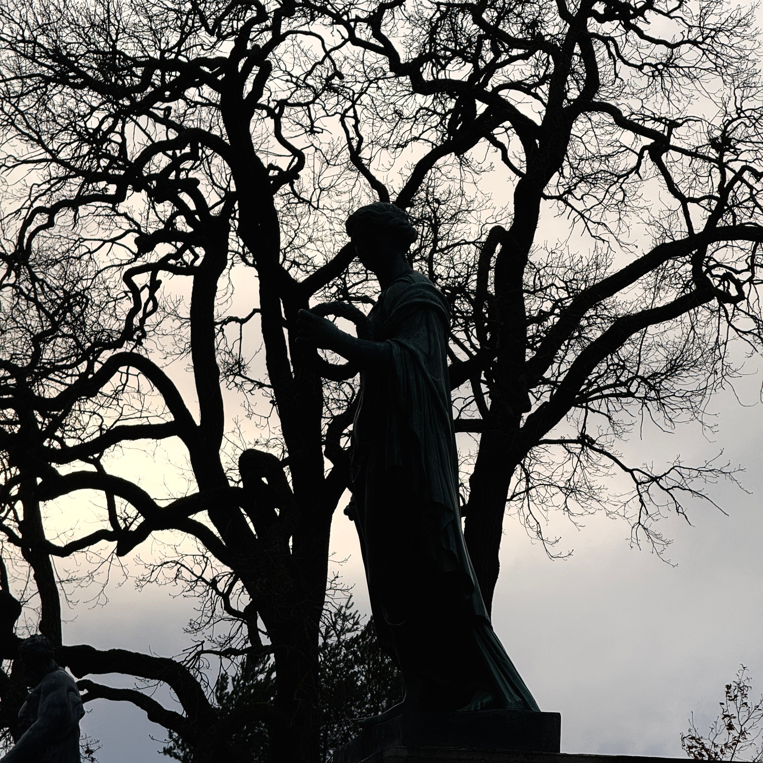 Мобилография. Коммерческий Фотограф Виктор Фоменых