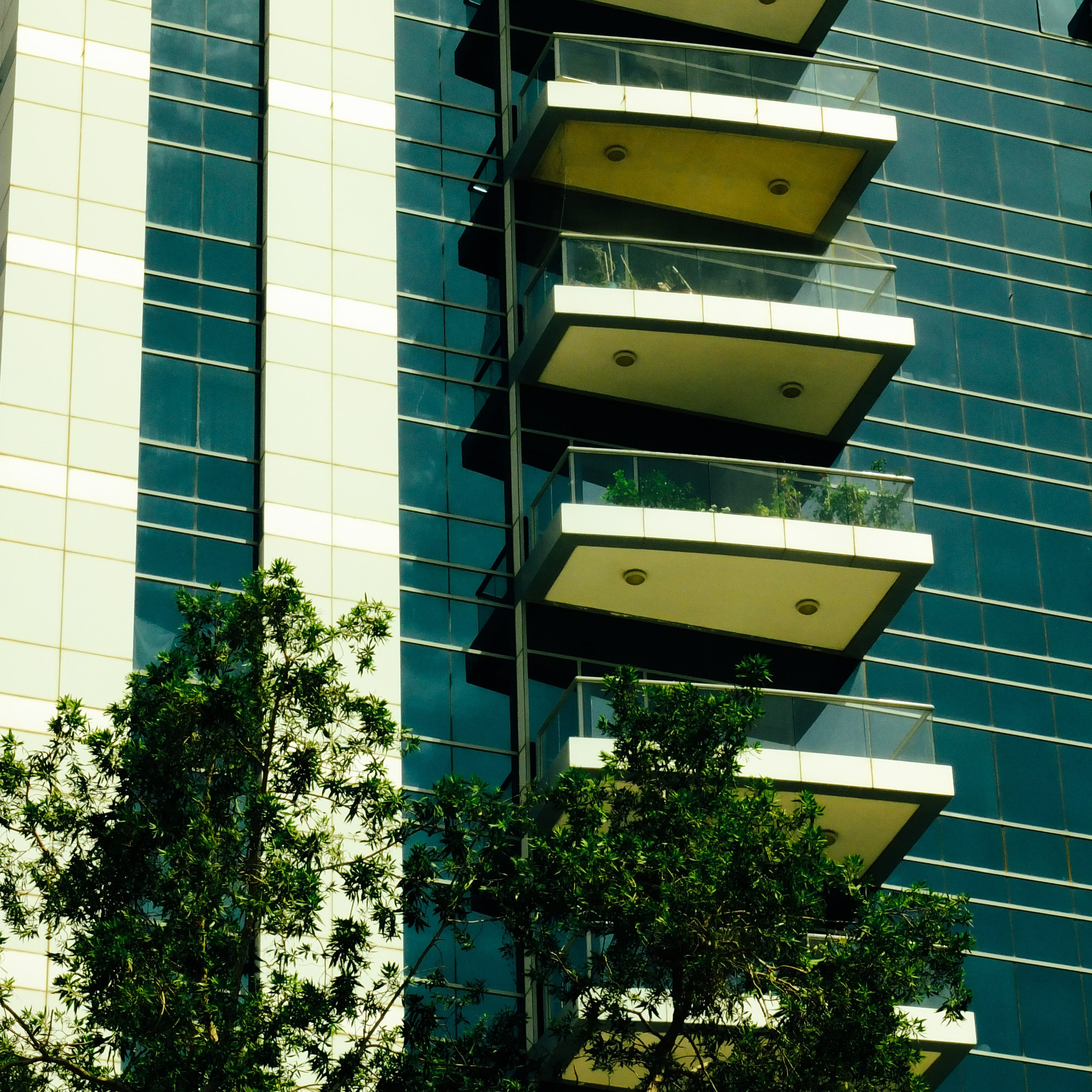 Dubai \ may 2024 \ DIGITAL. Коммерческий Фотограф Виктор Фоменых