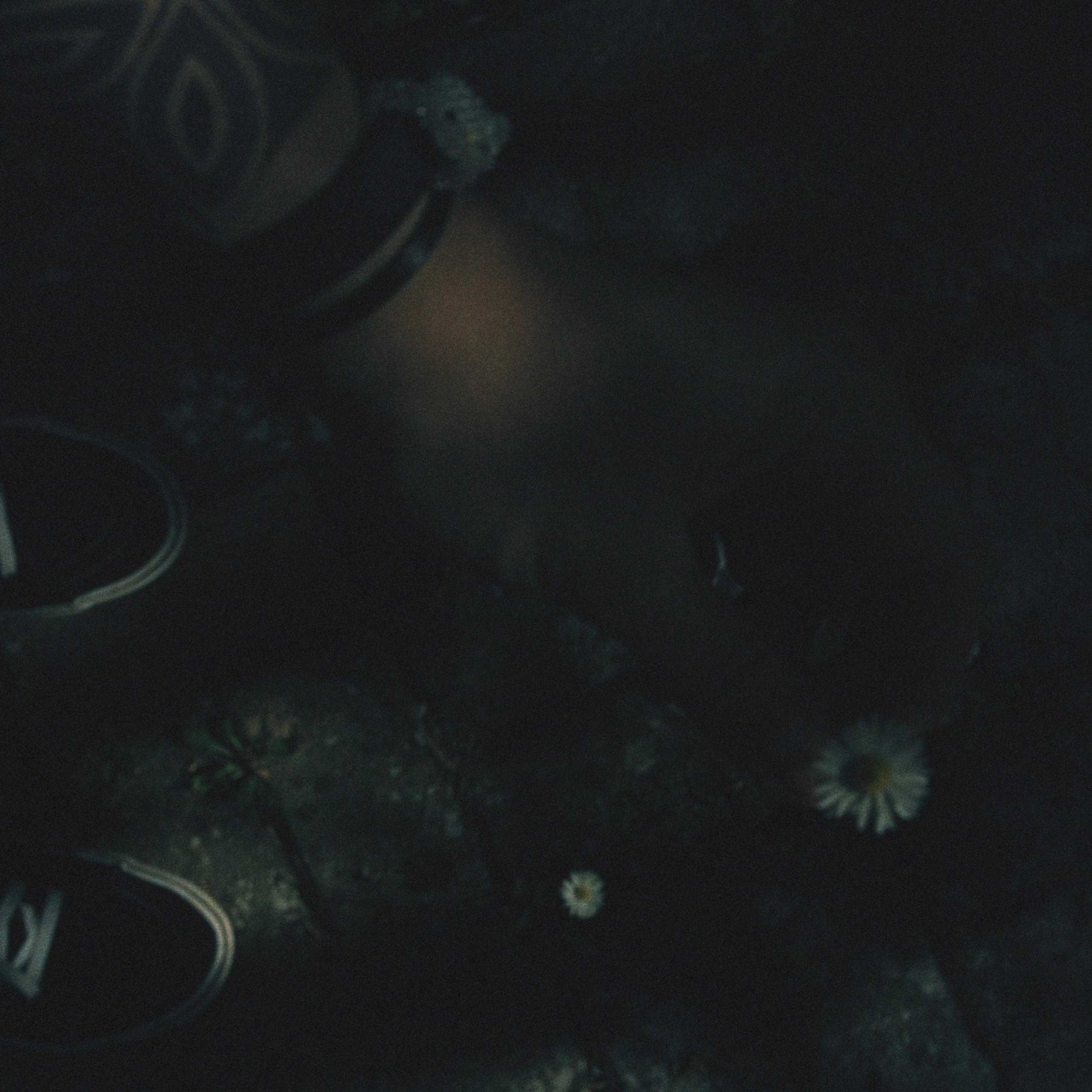 Film Prod/s 35 mm. Коммерческий Фотограф Виктор Фоменых