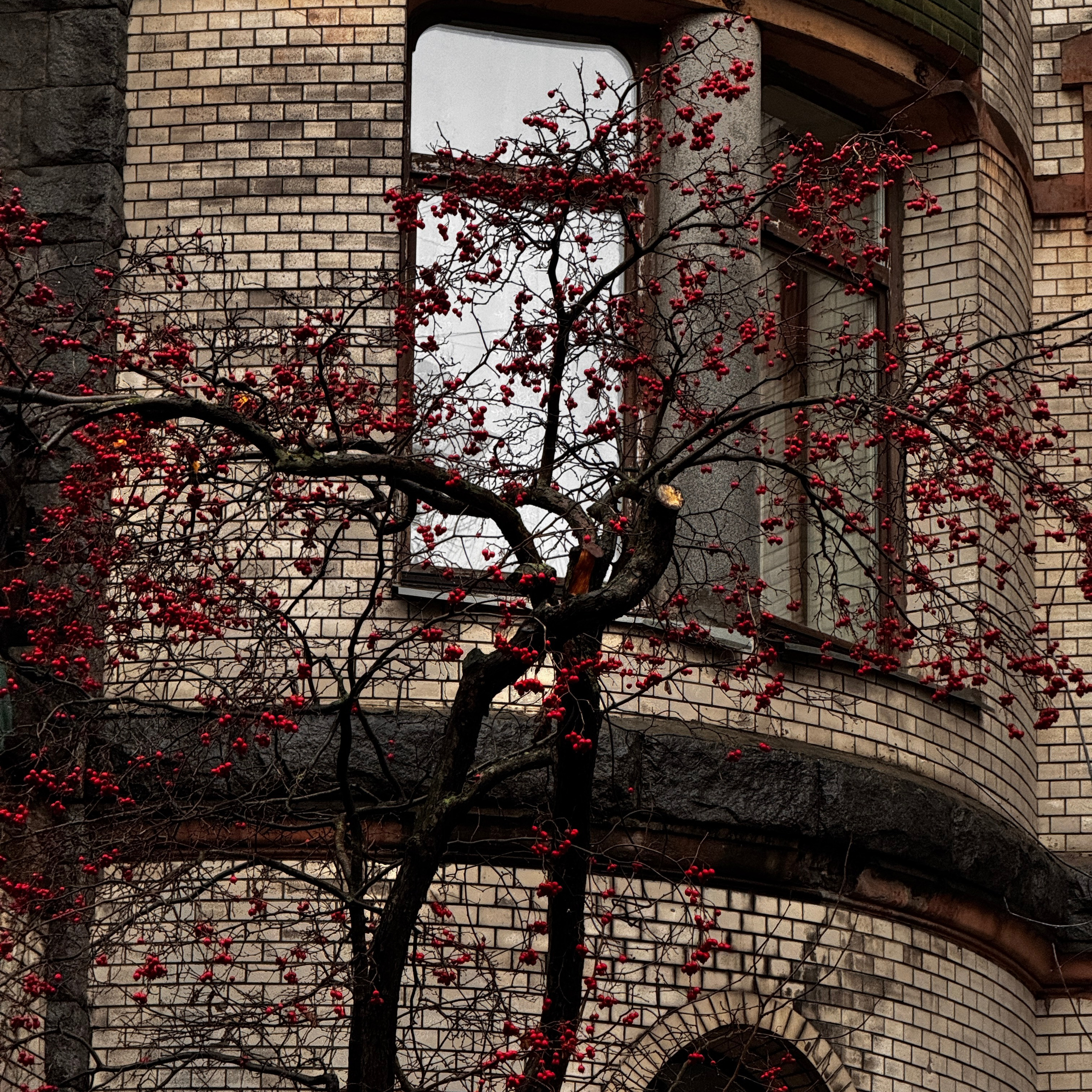 Мобилография. Коммерческий Фотограф Виктор Фоменых