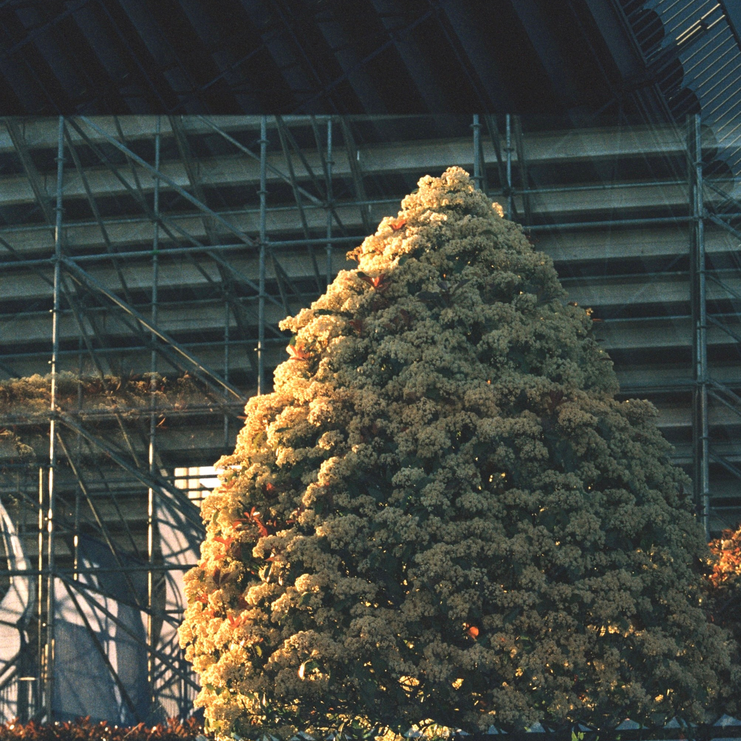 Film Prod/s 35 mm. Коммерческий Фотограф Виктор Фоменых