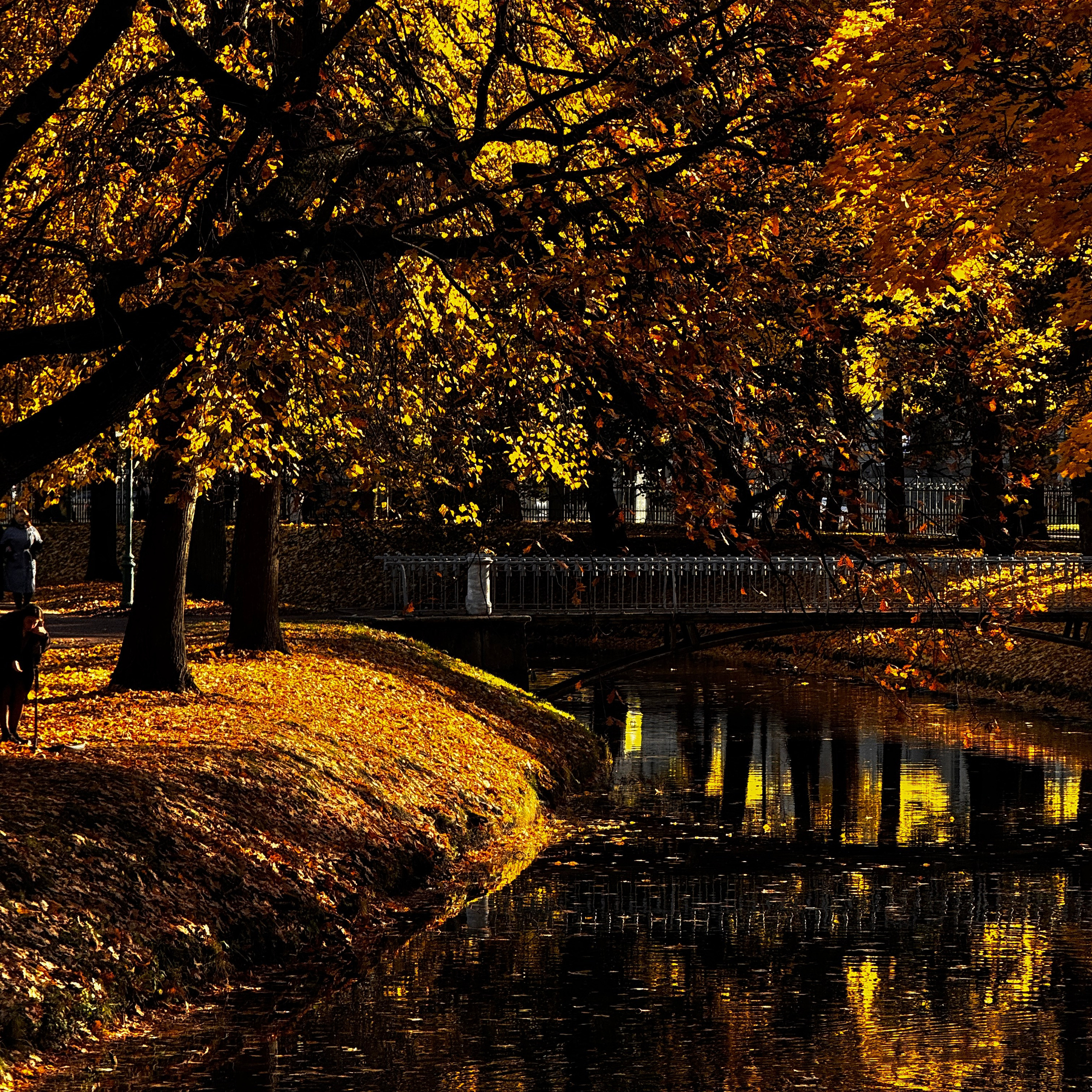 Мобилография. Коммерческий Фотограф Виктор Фоменых