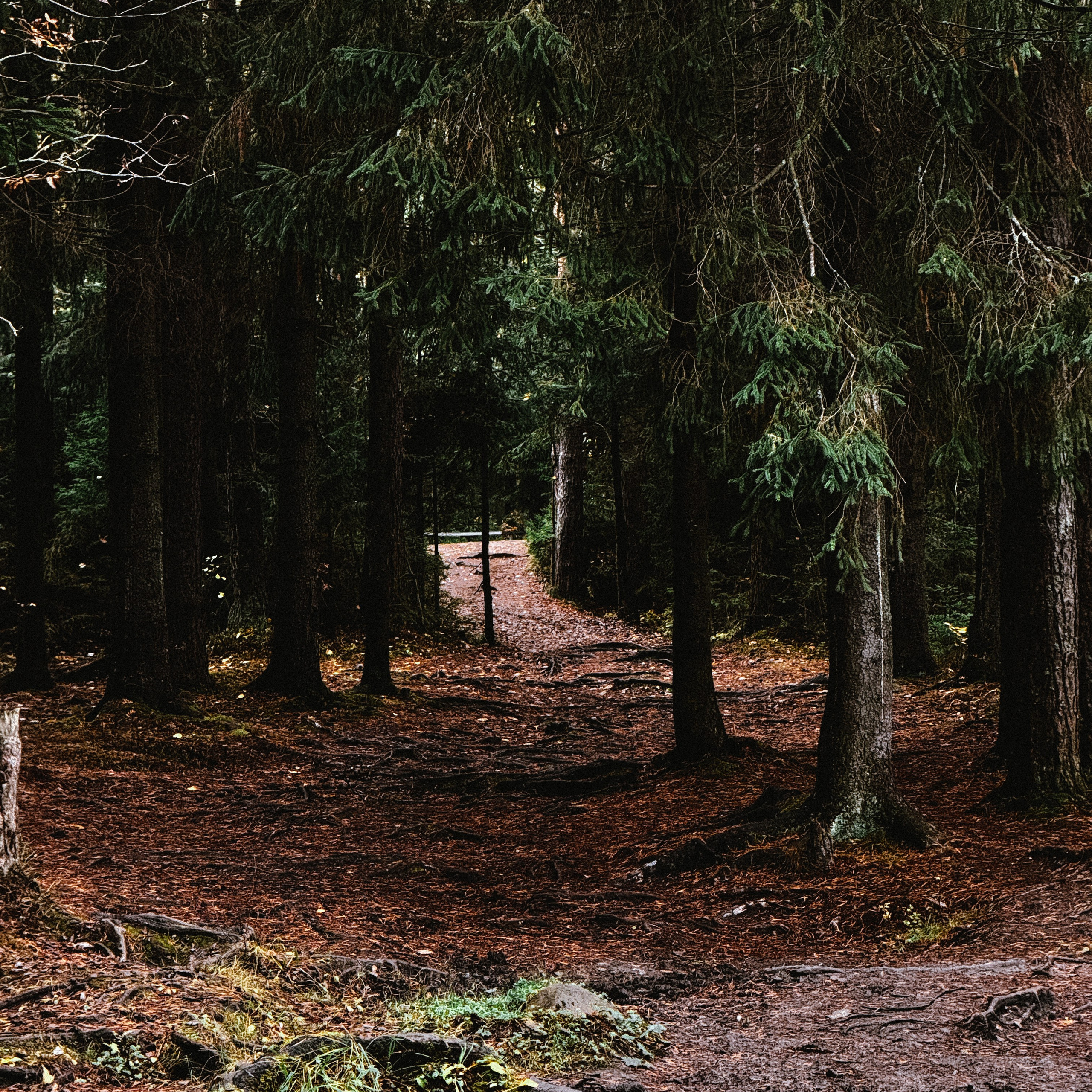 Мобилография. Коммерческий Фотограф Виктор Фоменых