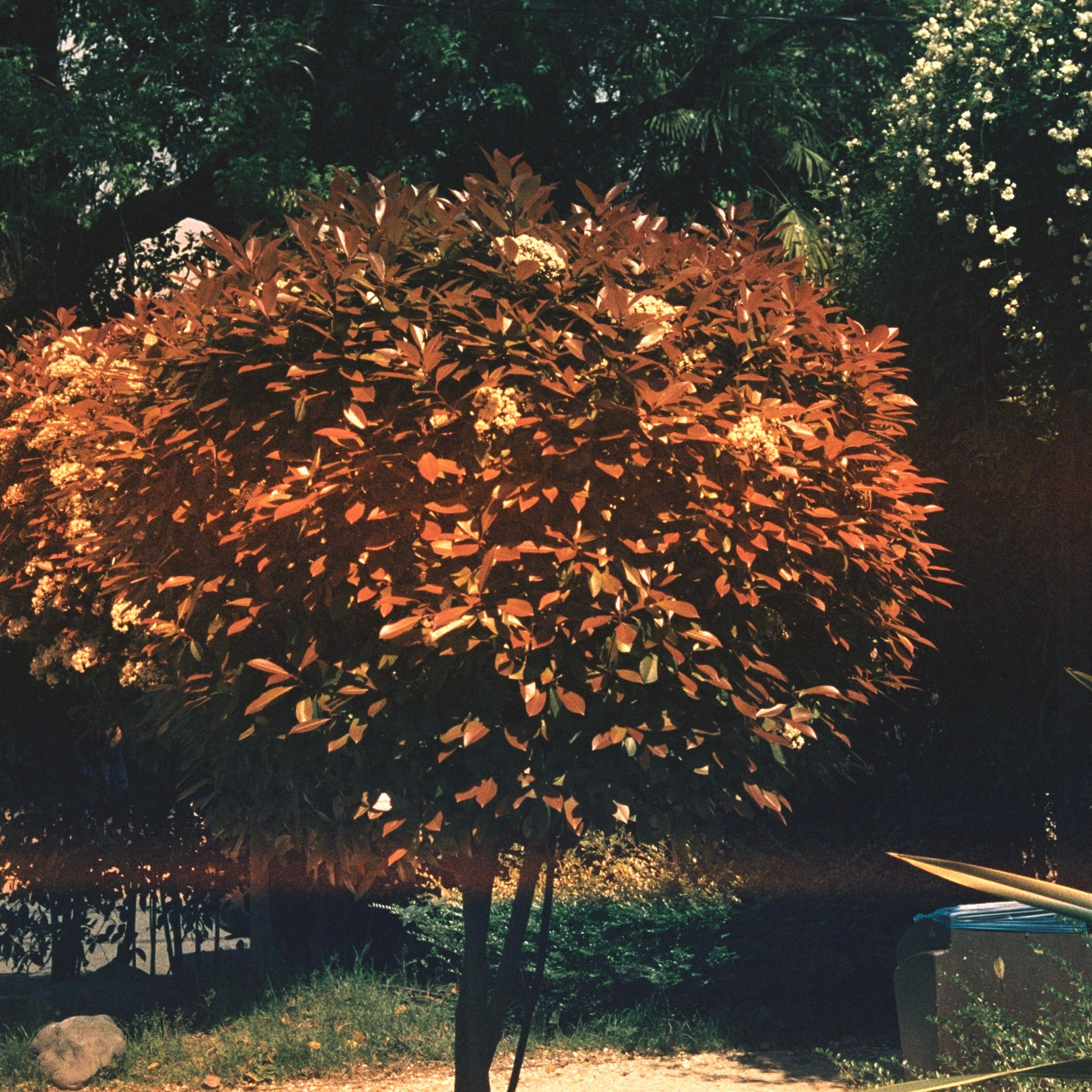 Film Prod/s 35 mm. Коммерческий Фотограф Виктор Фоменых