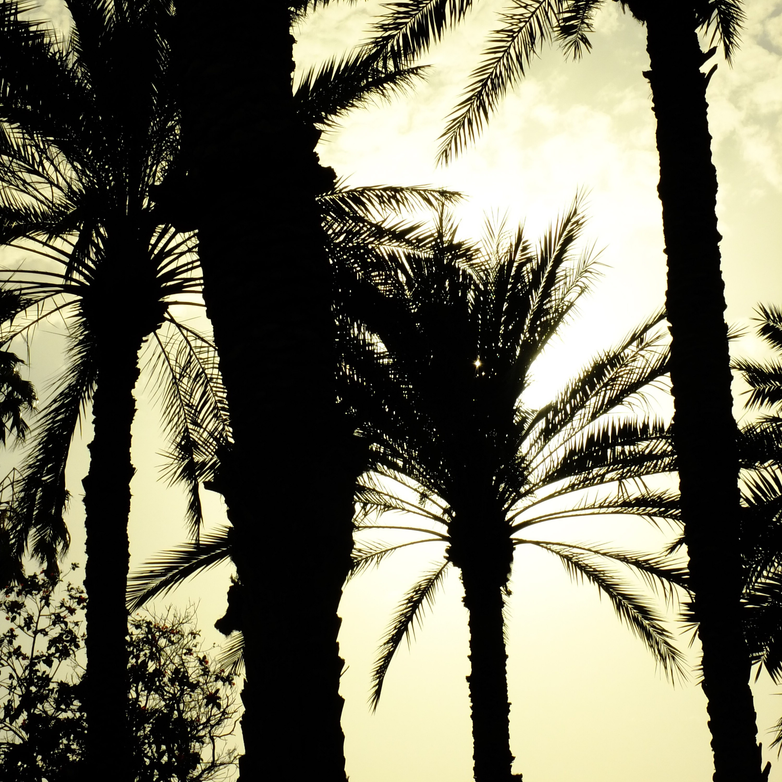 Dubai \ may 2024 \ DIGITAL. Коммерческий Фотограф Виктор Фоменых