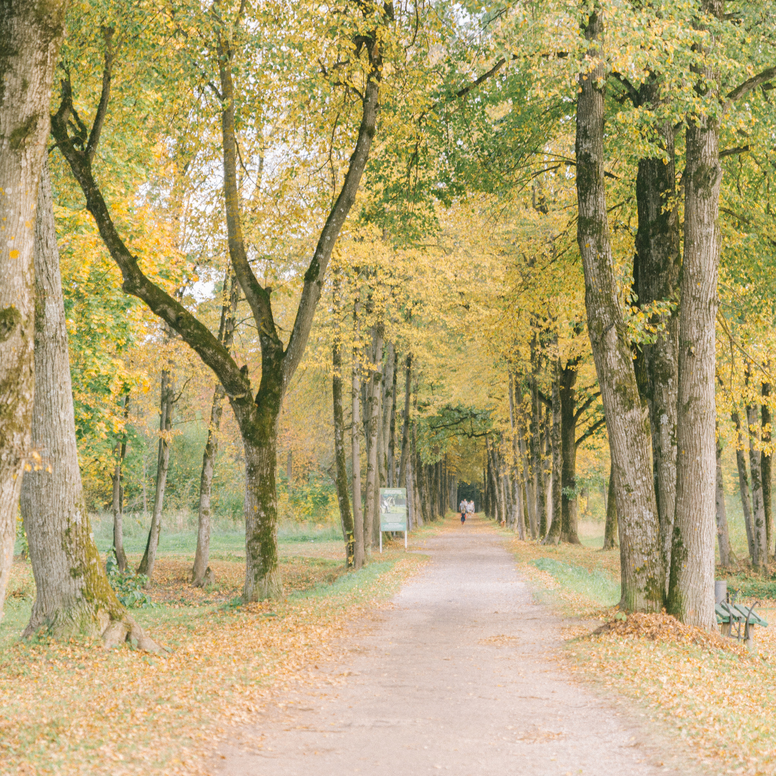 Отзывы. Фотограф-ретушер Анастасия Суровцева