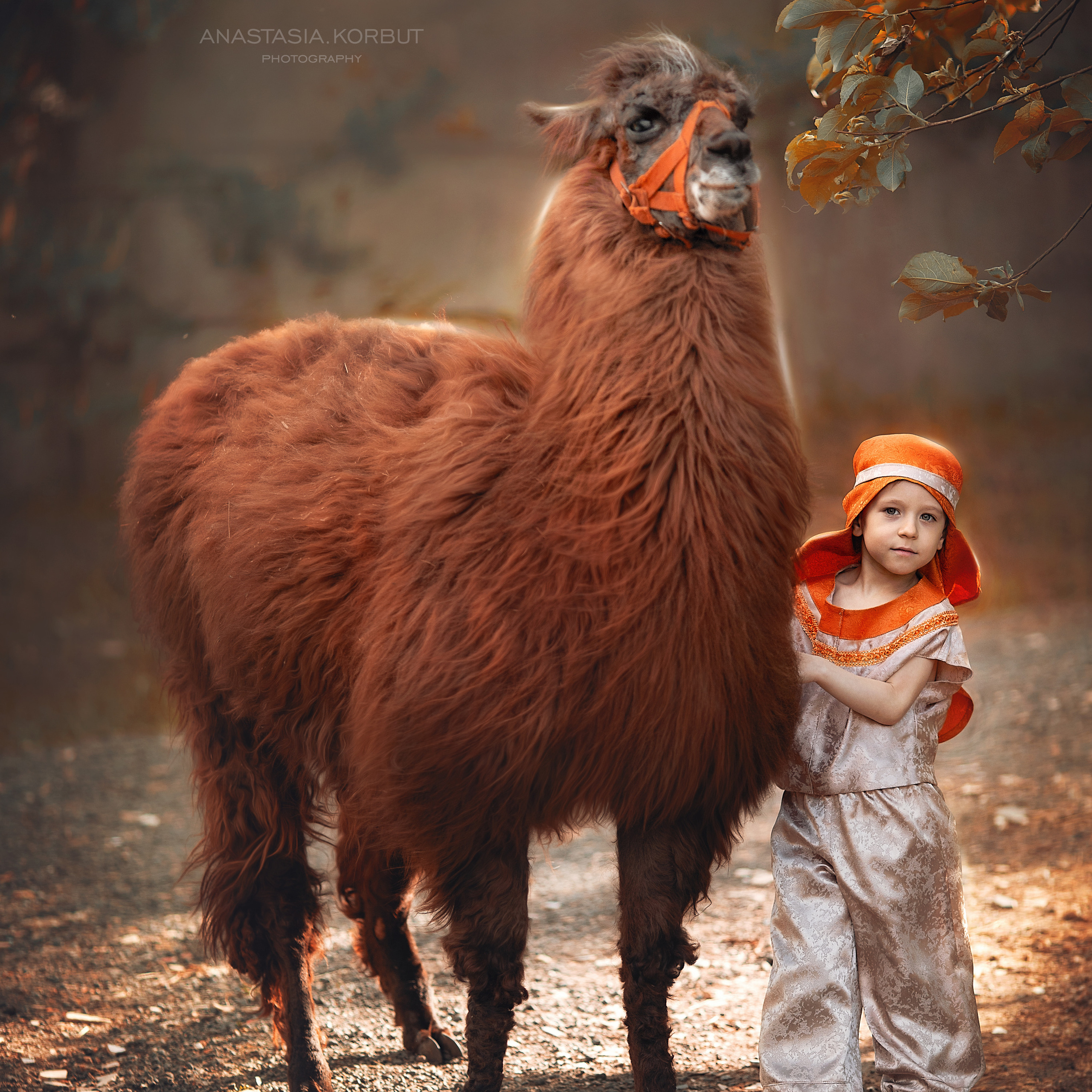 Сказочные / С экзотическими животными