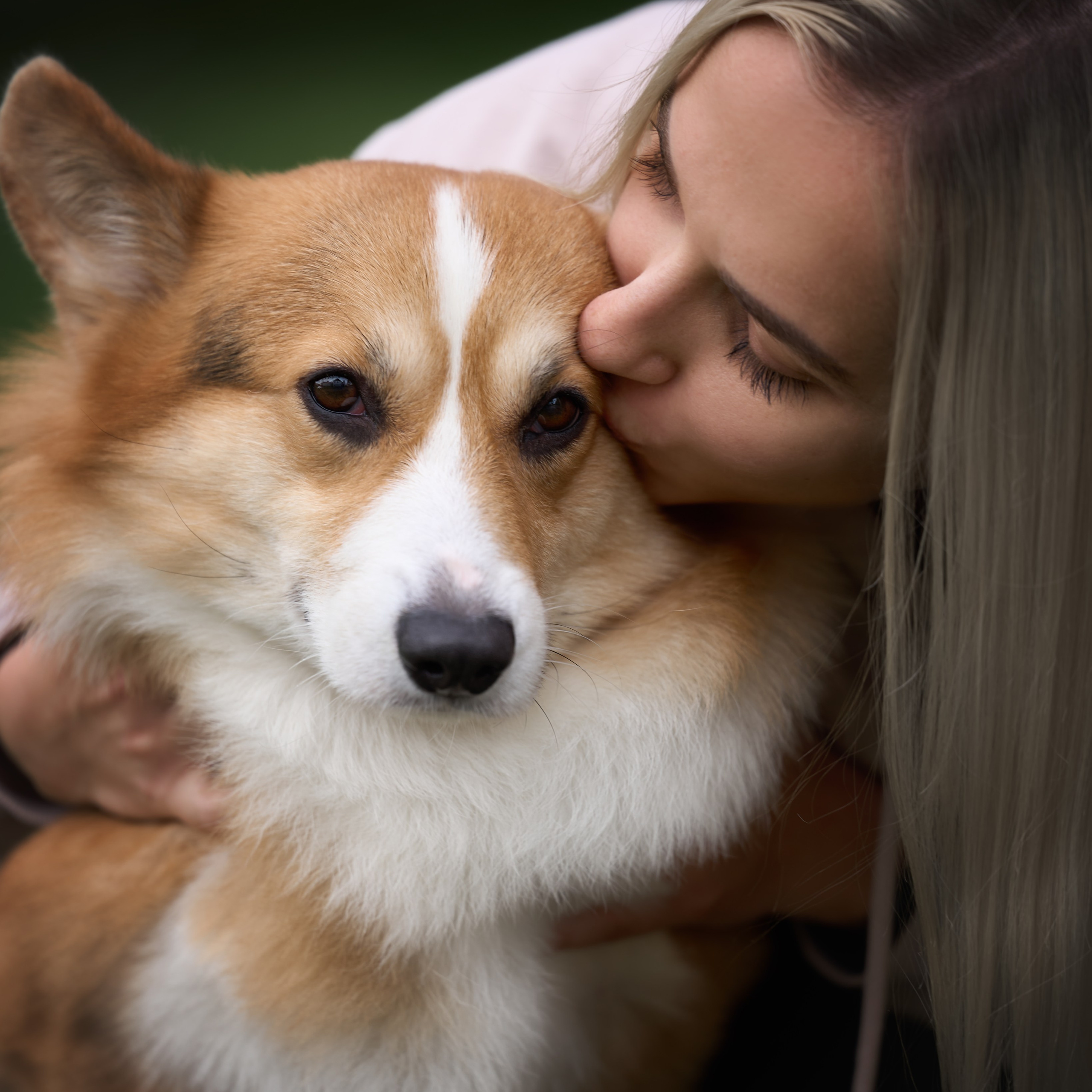 Собаки и люди