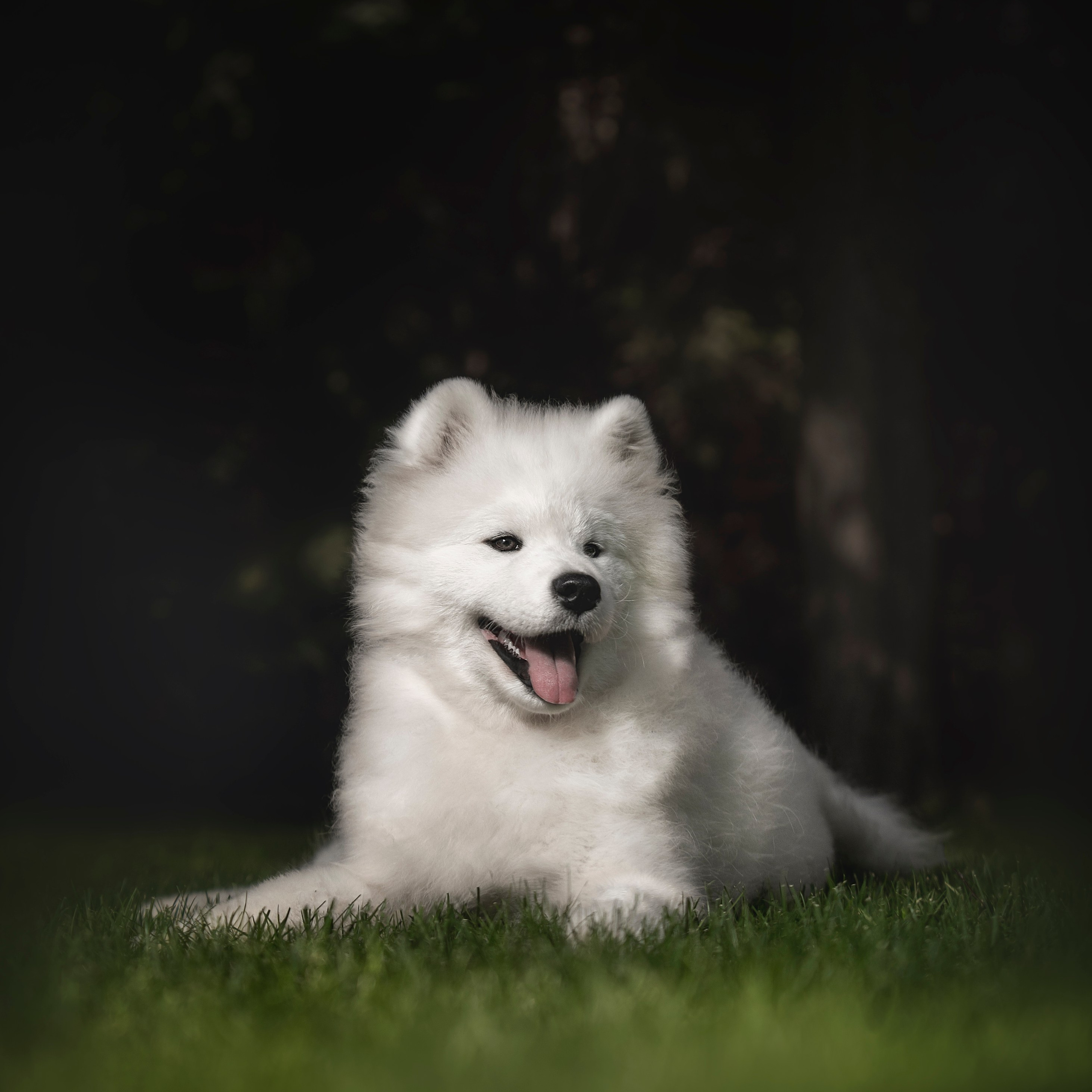 Юлия и Кукла