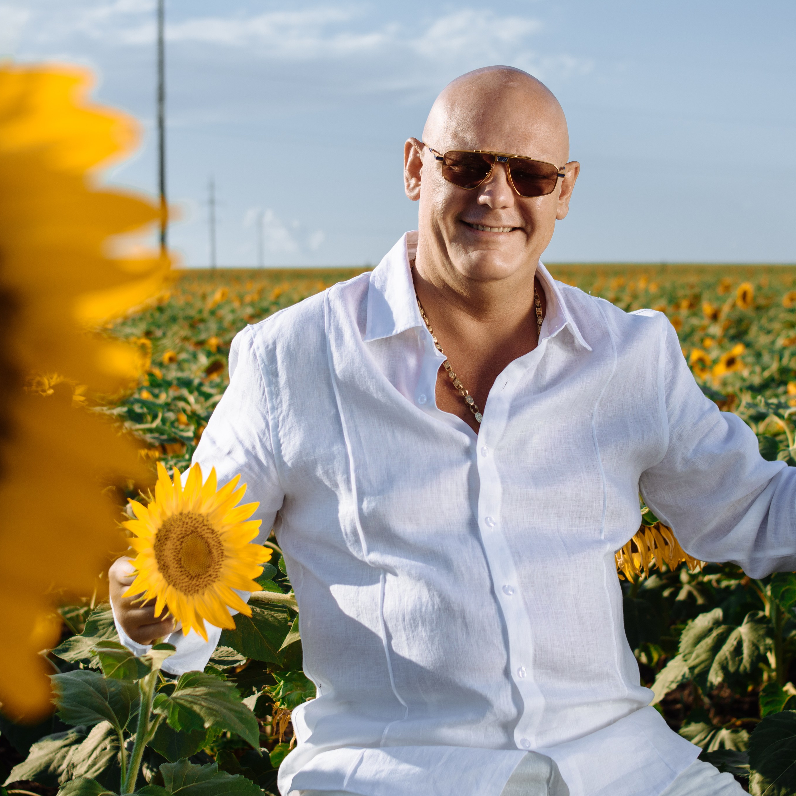 Подсолнухи