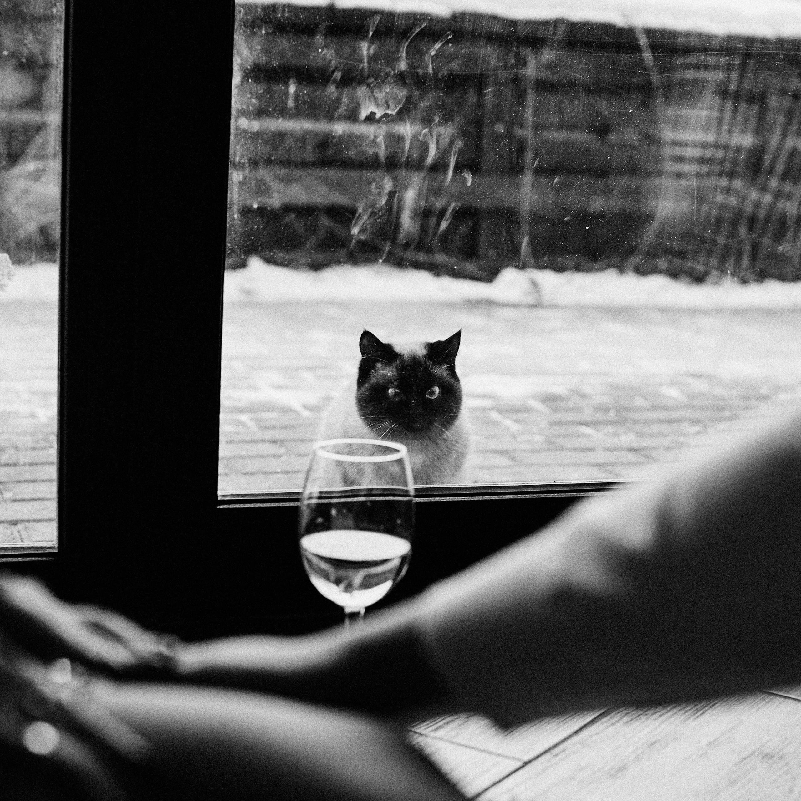 Павел и Анжелика