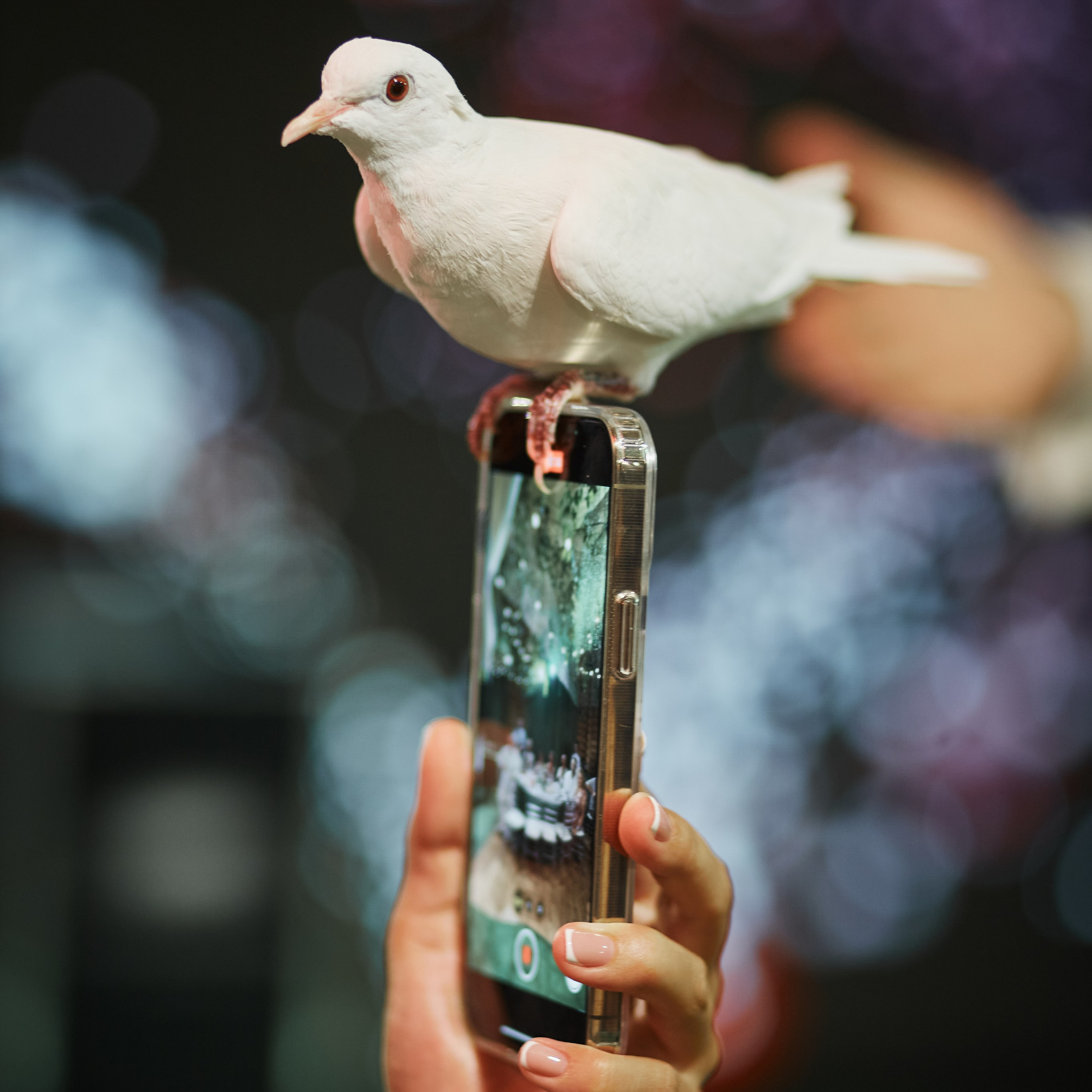 Рома и Полина Банкет