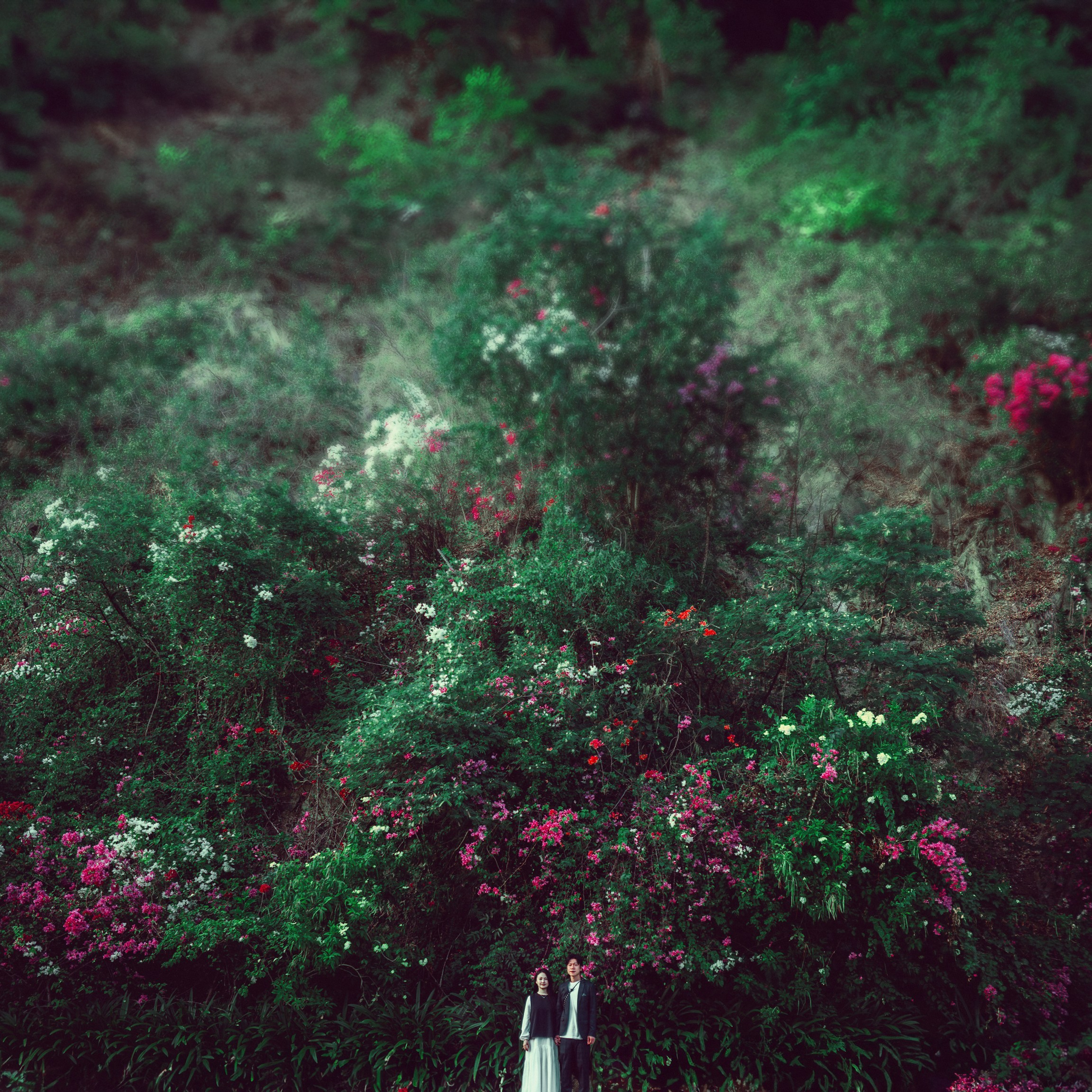 Отзывы клиентов. Фотограф в Нячанге — Данил Прокопенко