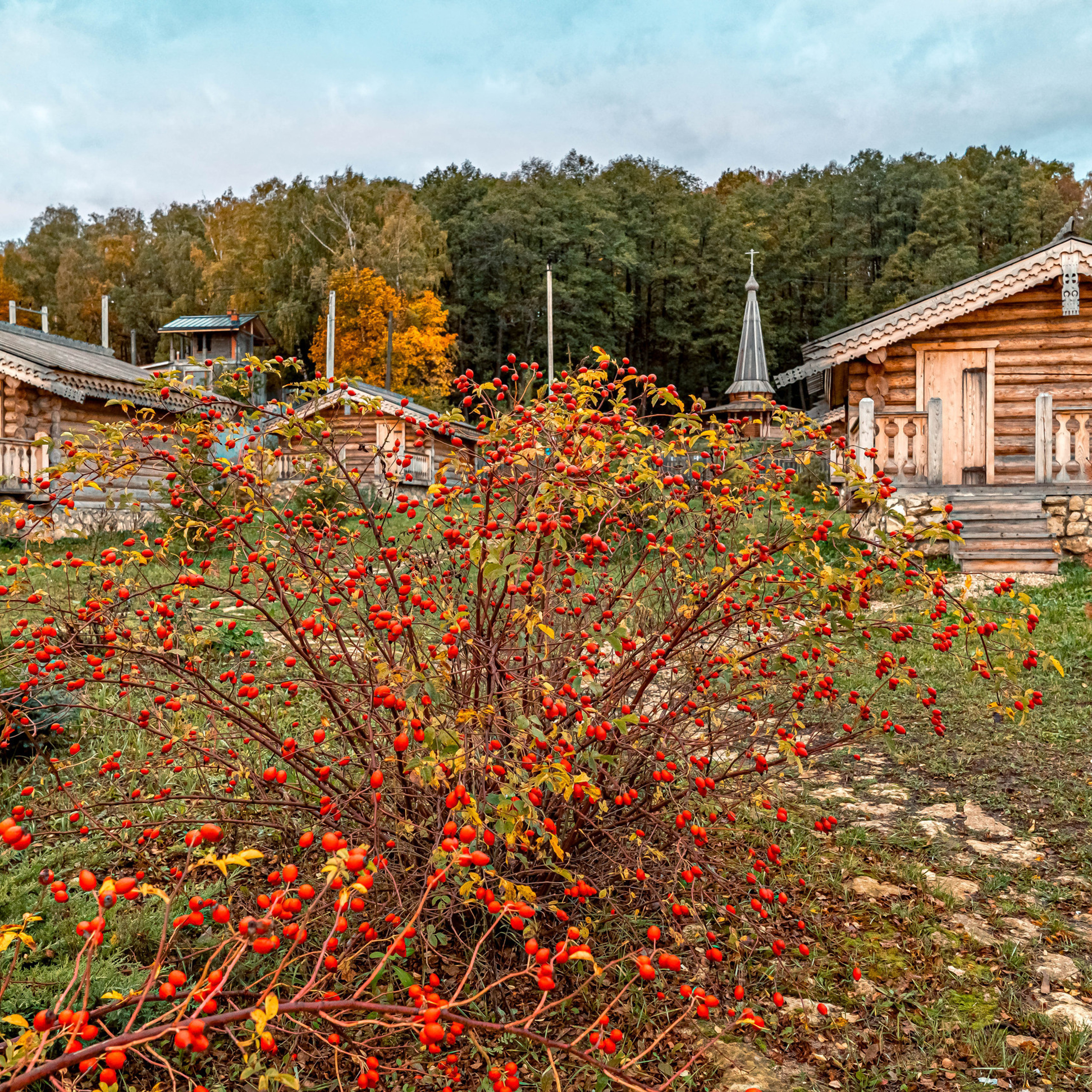 Отзывы. Фото и видео съёмка на заказ. VAU Studia. Москва