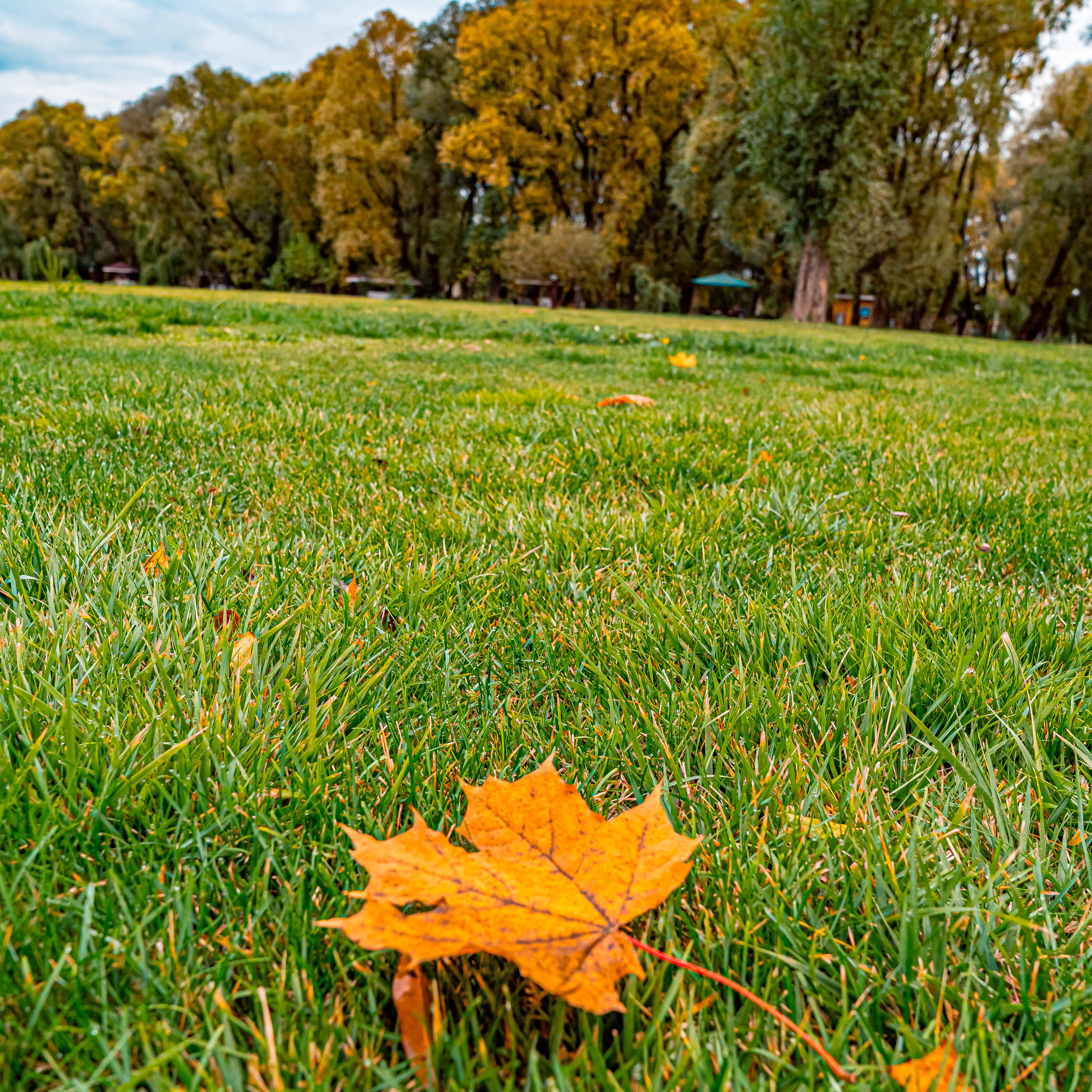 ПАРК-ОТЕЛЬ «ОСТРОВ»