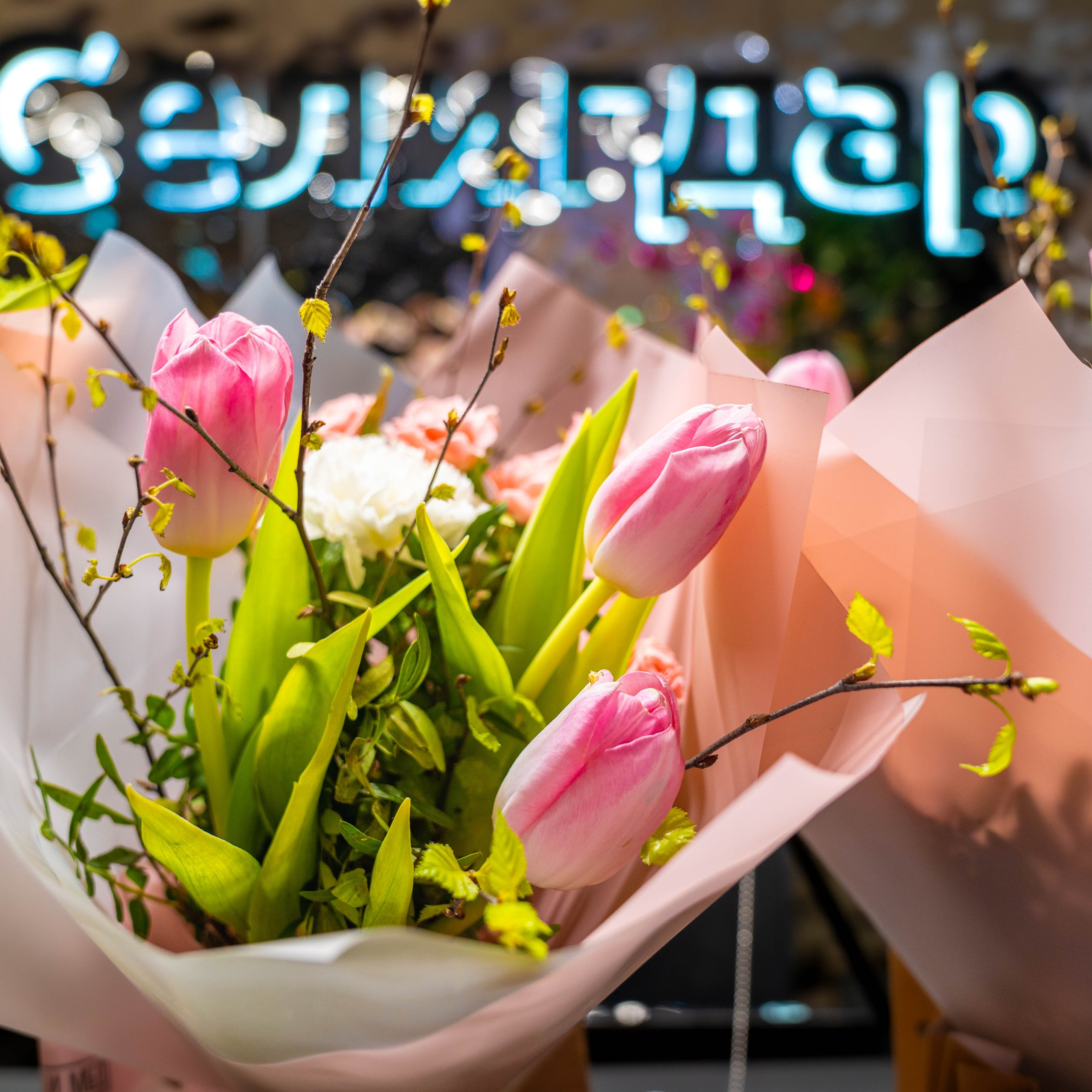 Отзывы. Фото и видео съёмка на заказ. VAU Studia. Москва