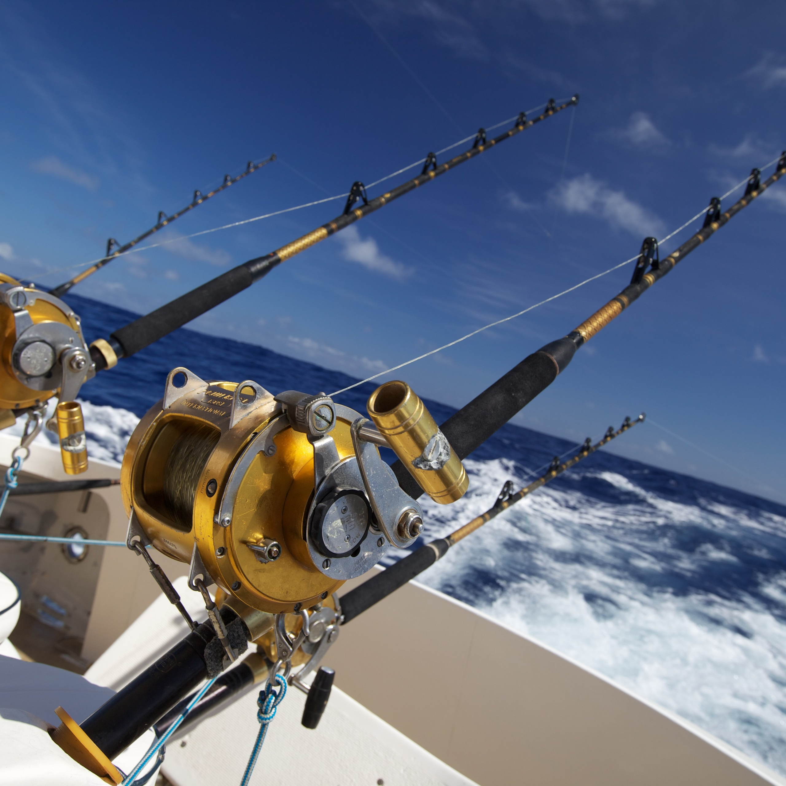 ПЛАНЕТА ЗЕМЛЯ