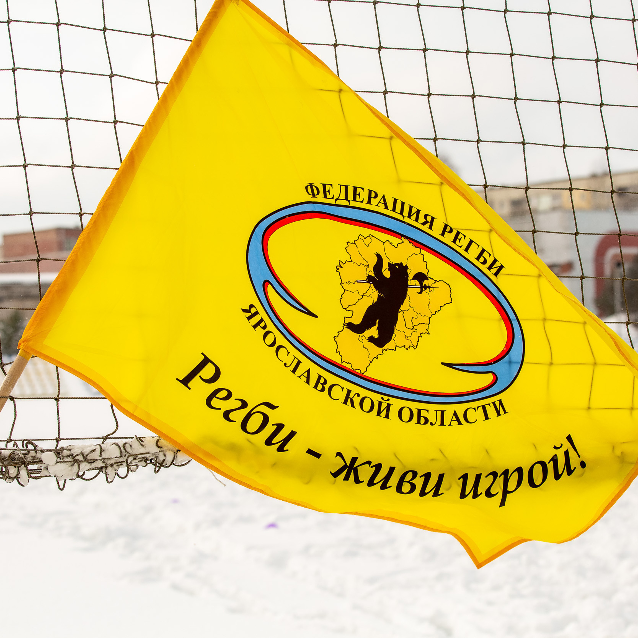 Отзывы. Фотограф Алексей Новрузов