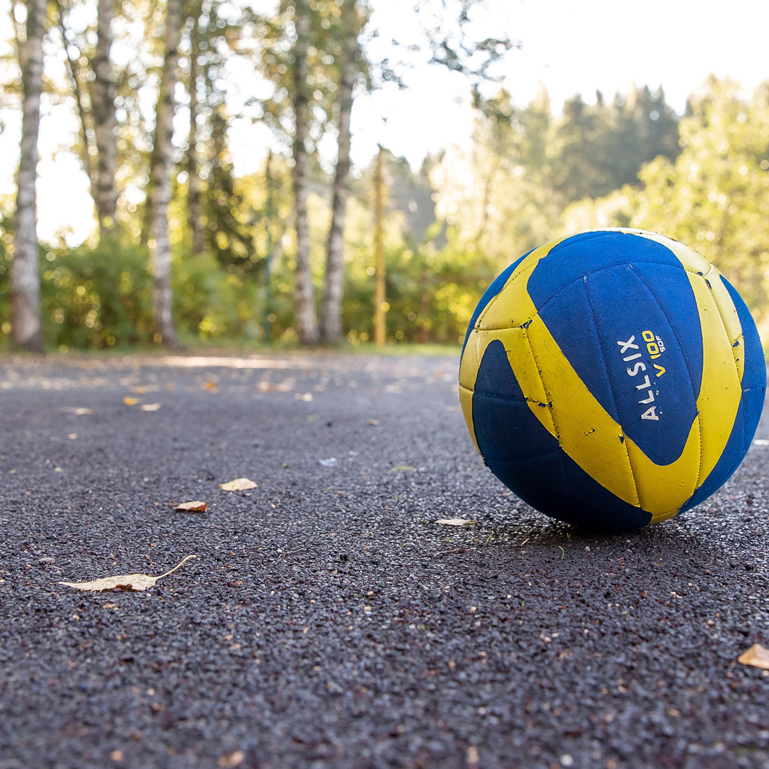 Отзывы. Фотограф Алексей Новрузов