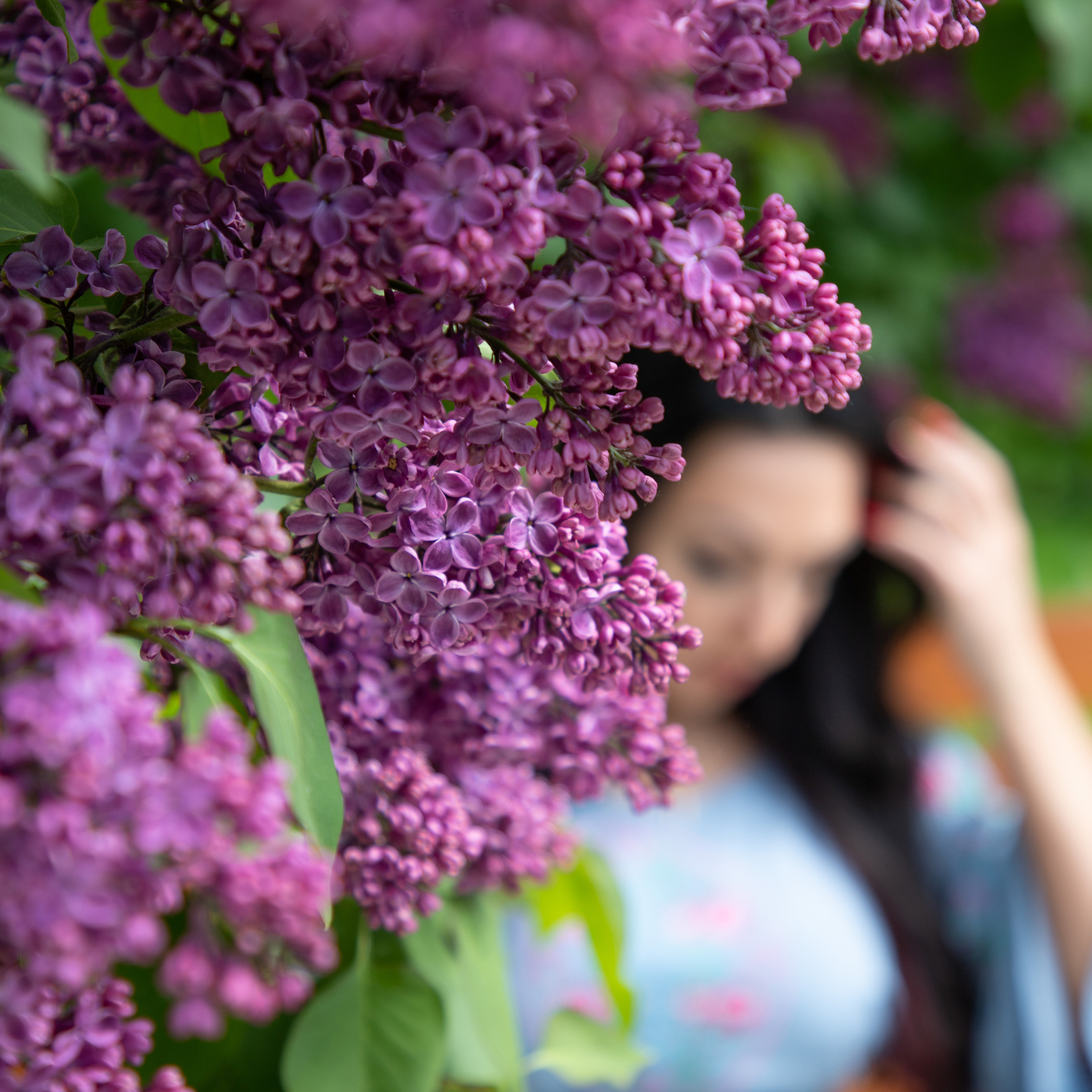 Сокольники