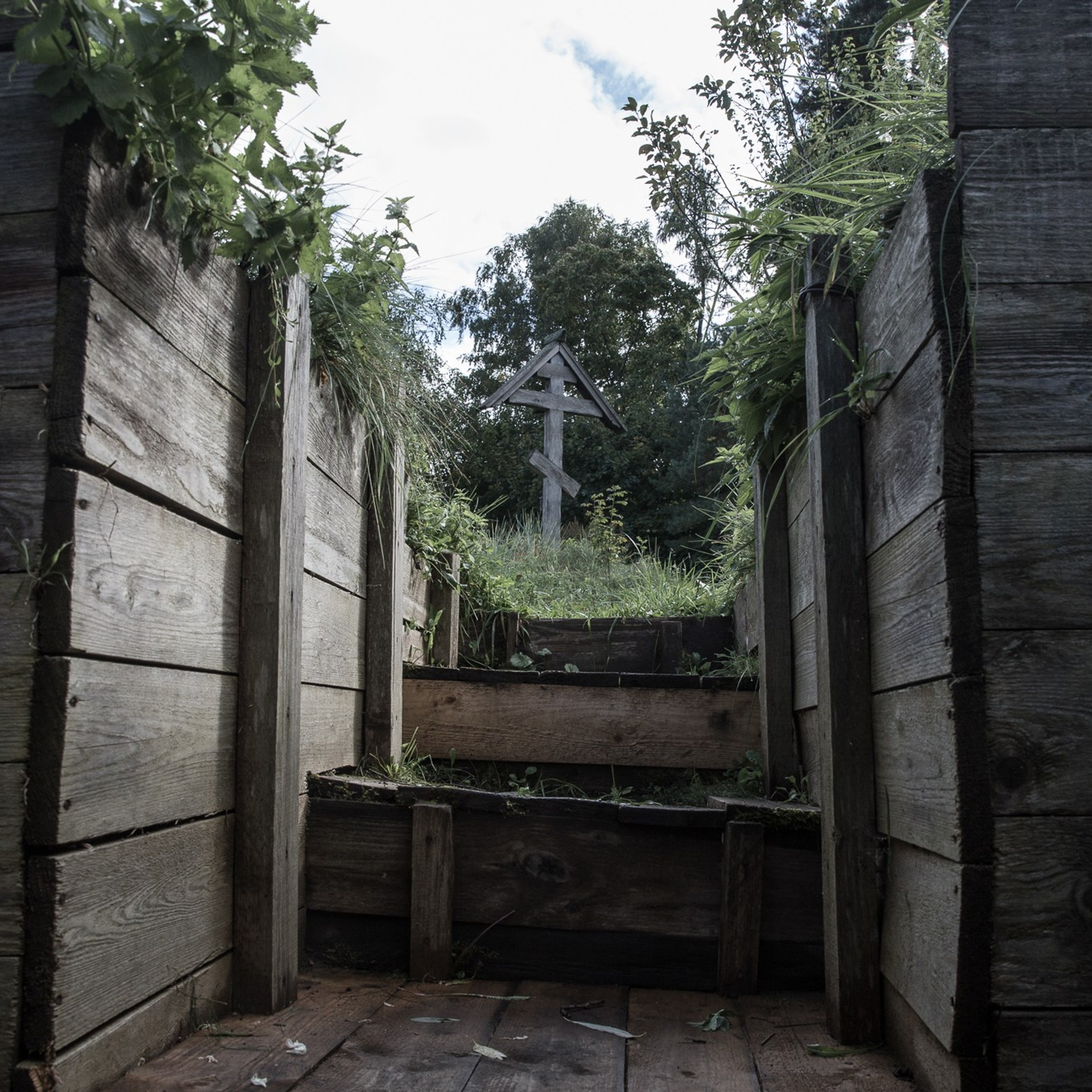 Мы&nbsp;прорастем травой