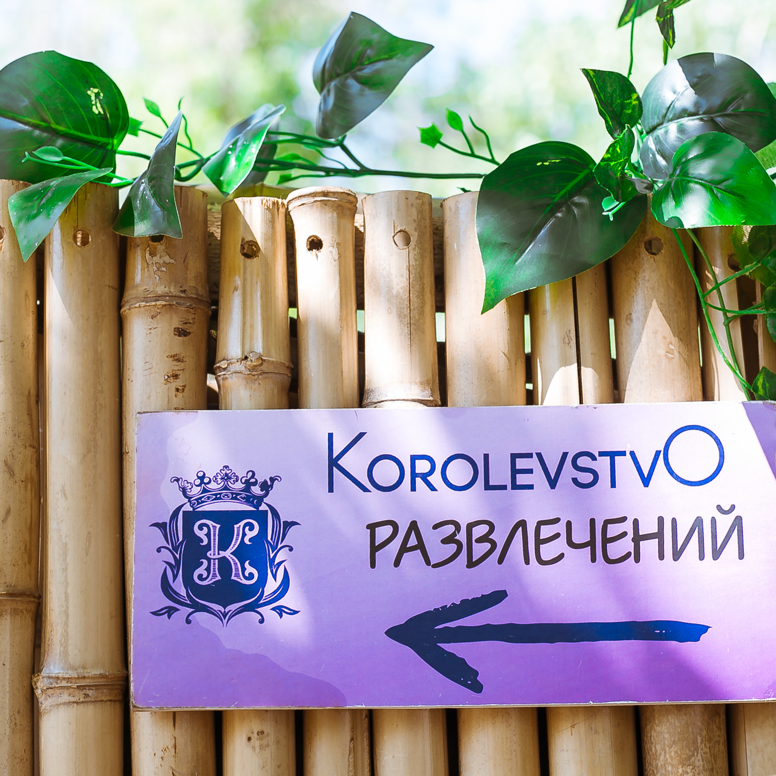 Отзывы. Sanat Mukanov — фотограф, мобилограф в Астане