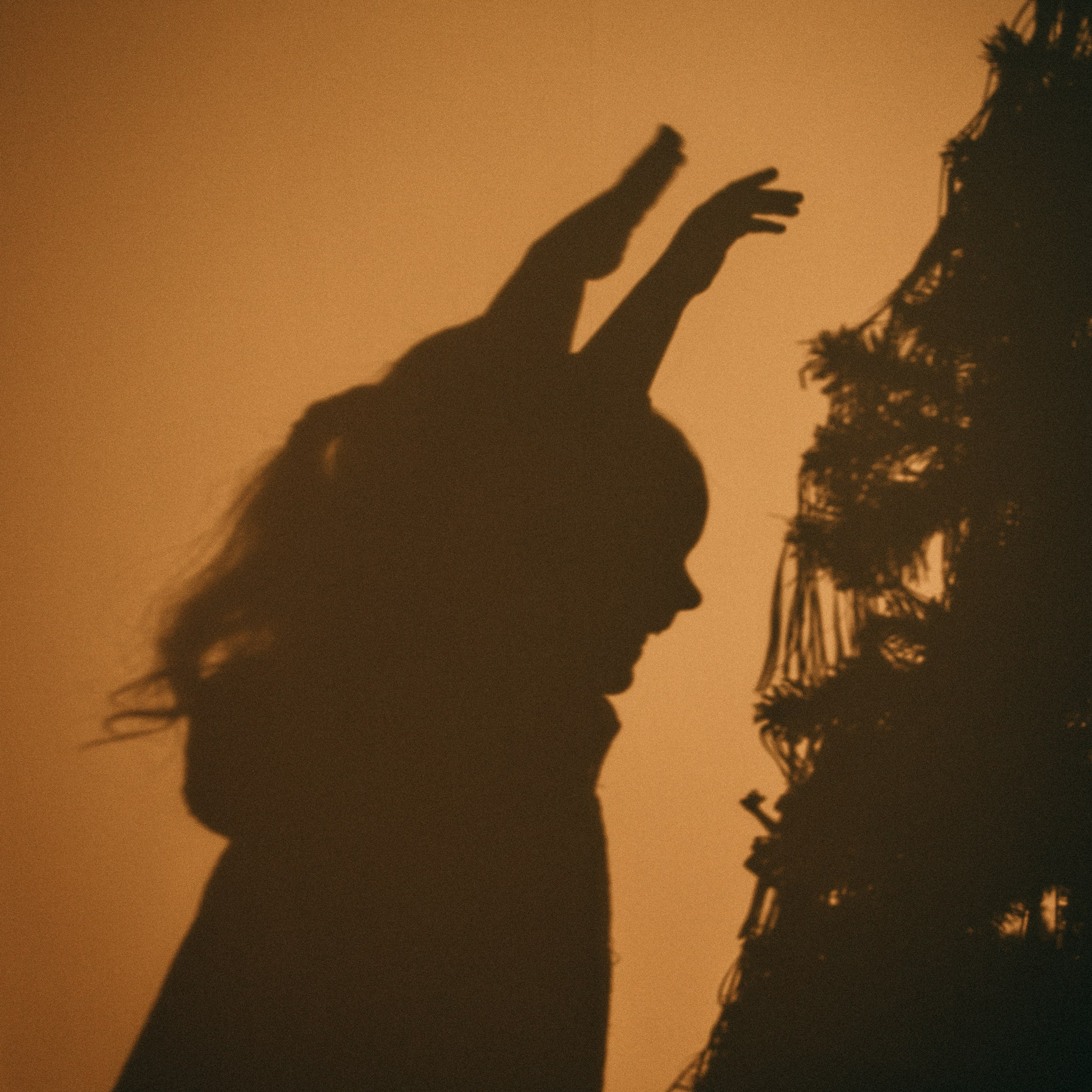 Домашние новогодние истории