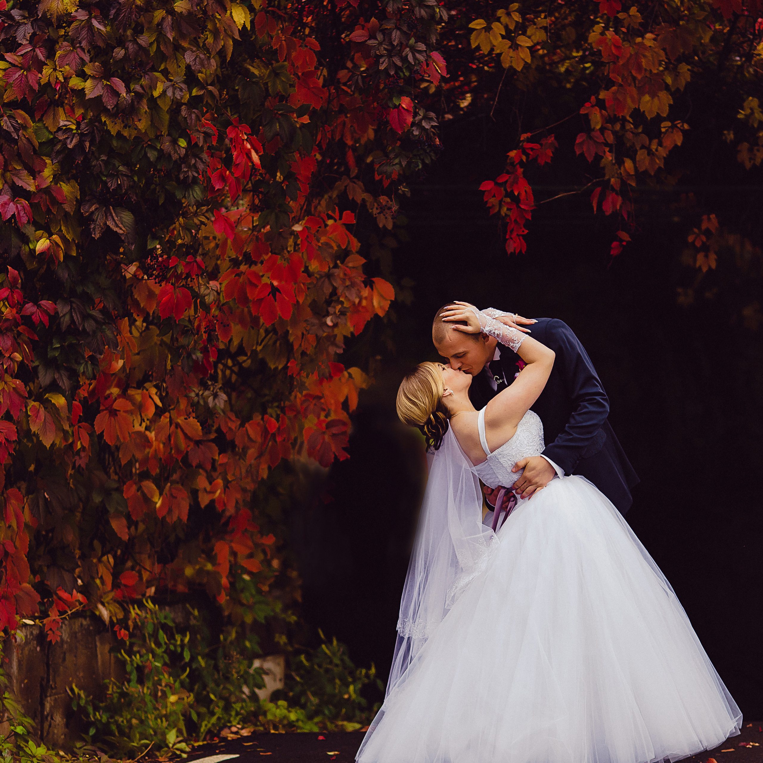 Отзывы. Портретный, семейный и свадебный фотограф в Курске Роман Сазонов