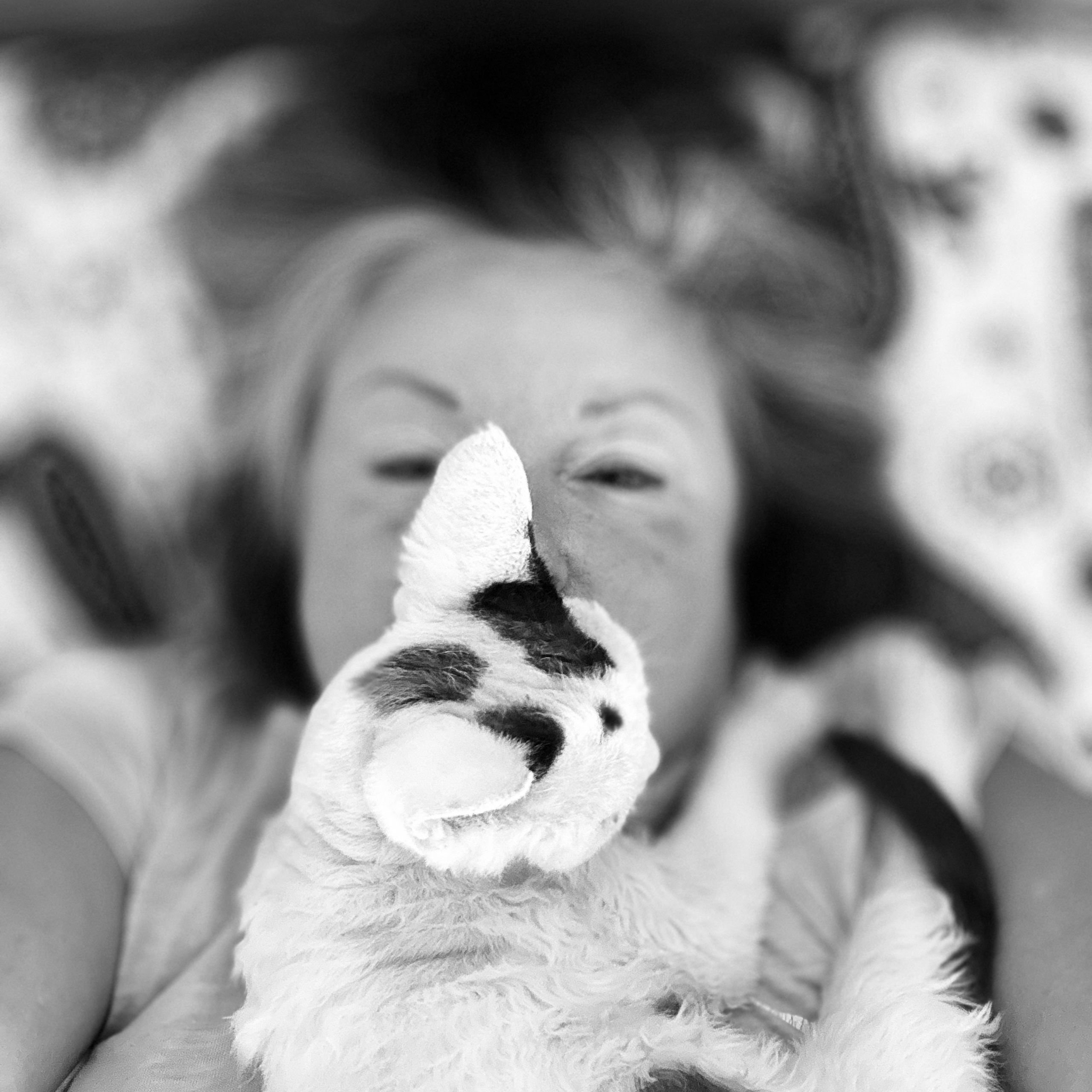 Отзывы. Американские булли XL в г. Калининград. Питомник Great Bully UNIVERSE