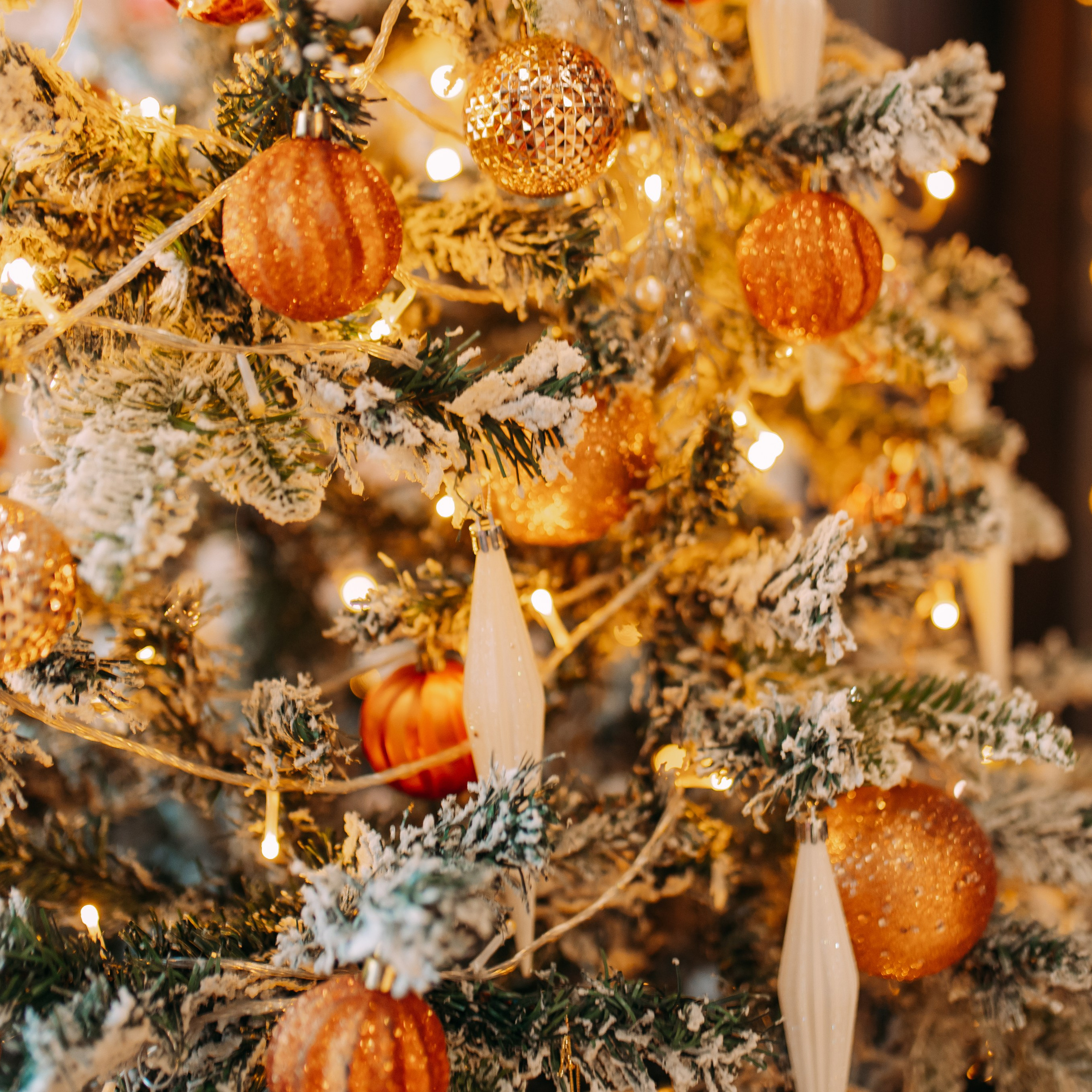 Отзывы. Фотограф Рашковская Полина