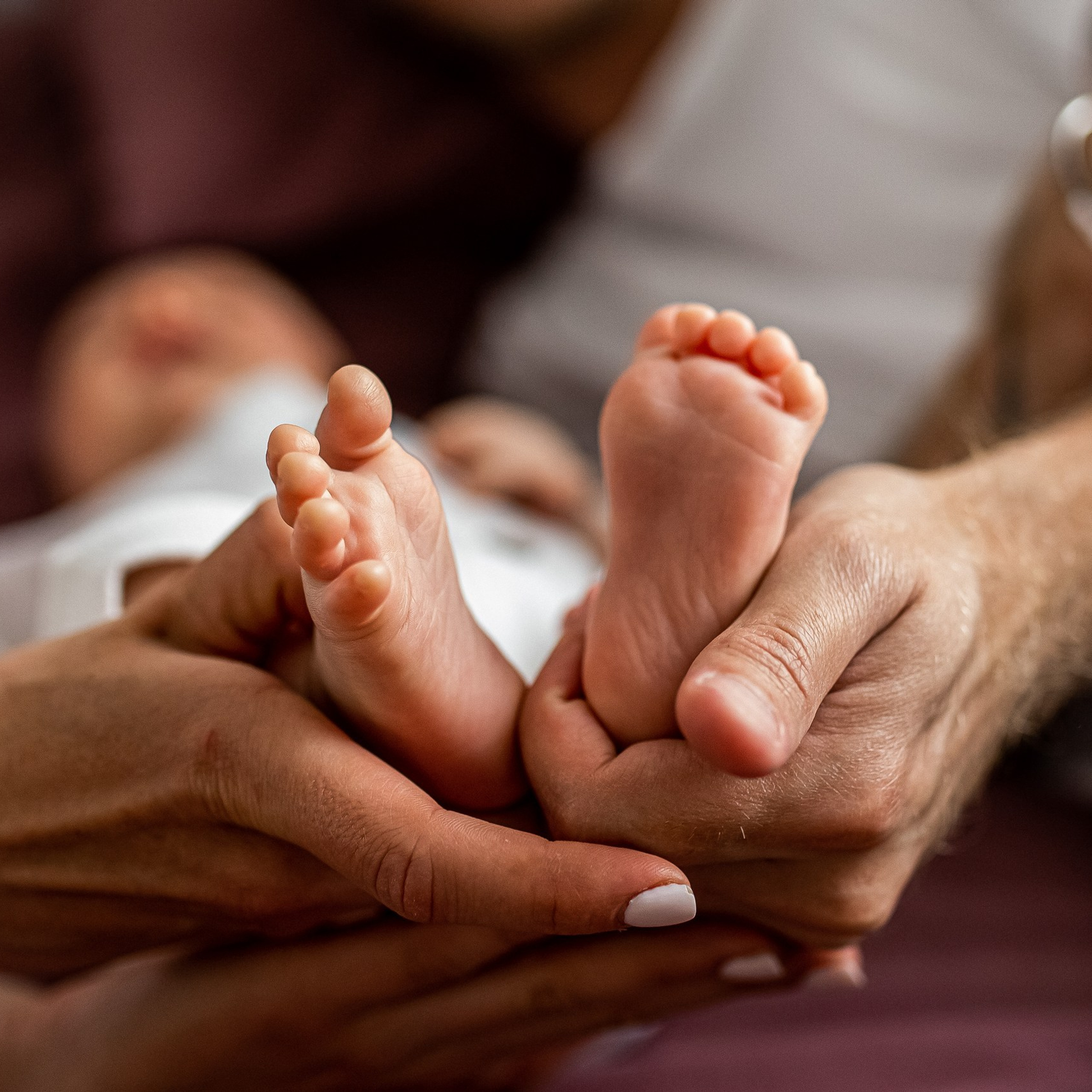 Отзывы. Профессиональный фотограф, Москва |Видное Елена Елизарова