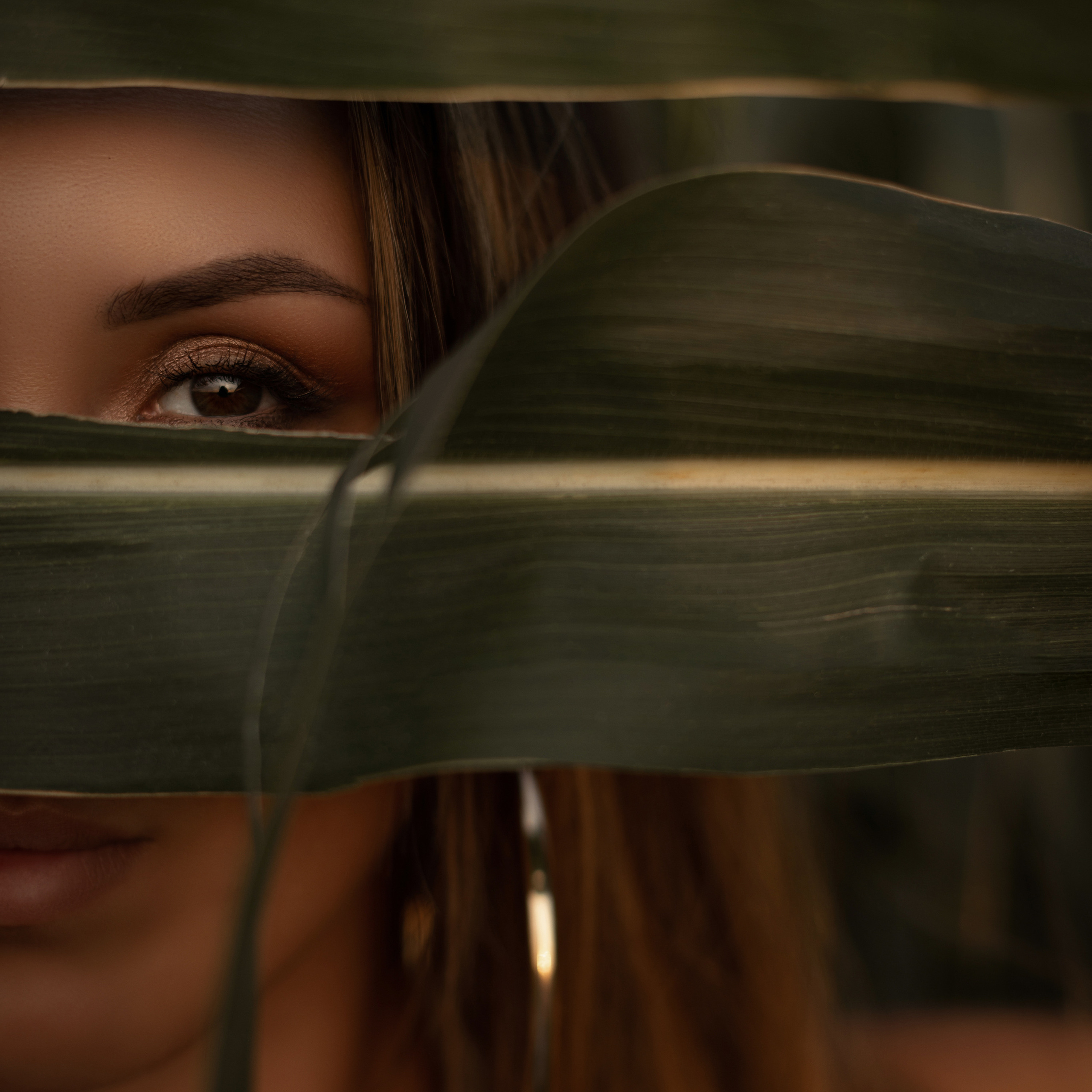 Александра «The girl in the corn»